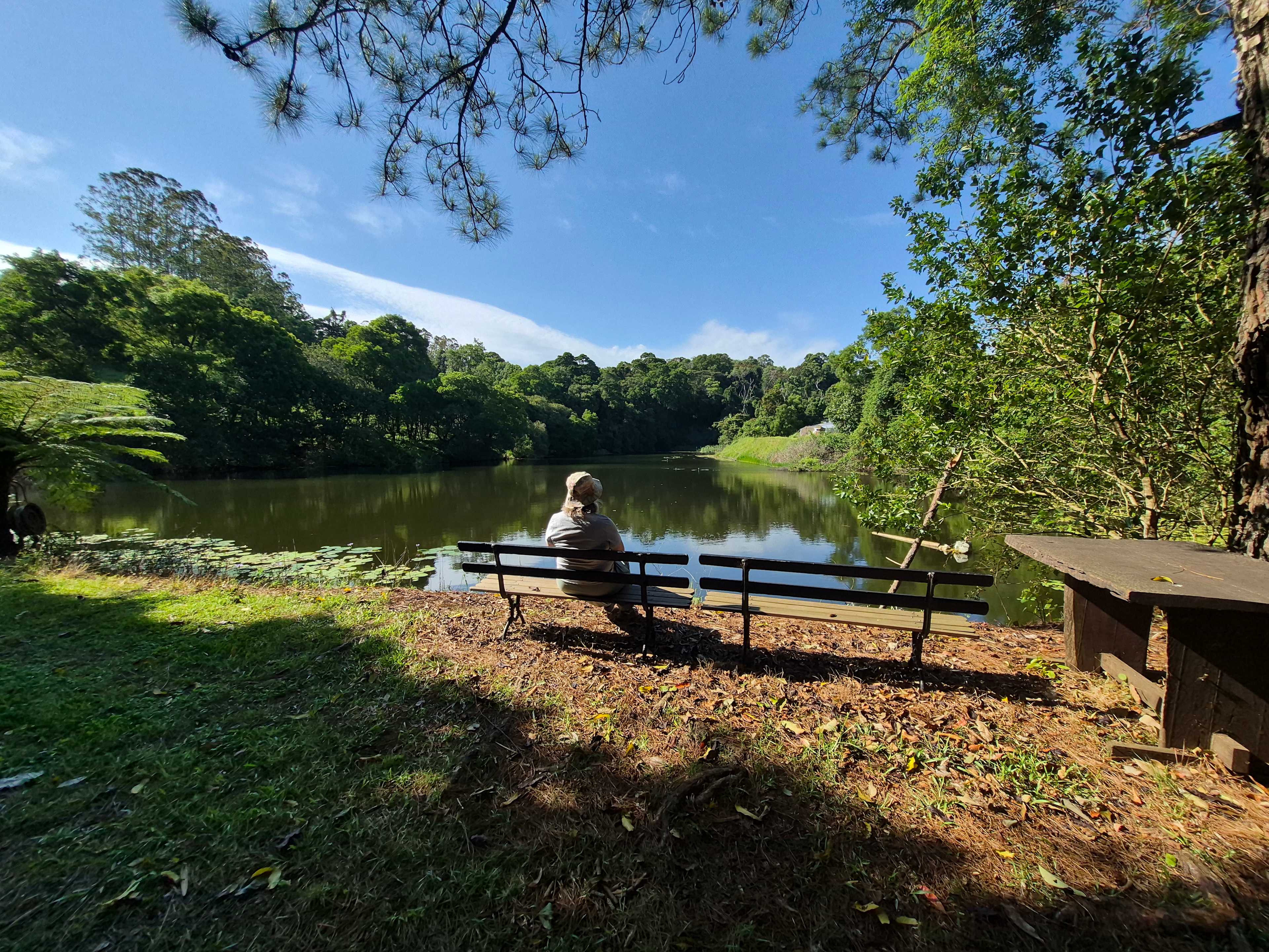 Tremayne - The Old Avocado Farm