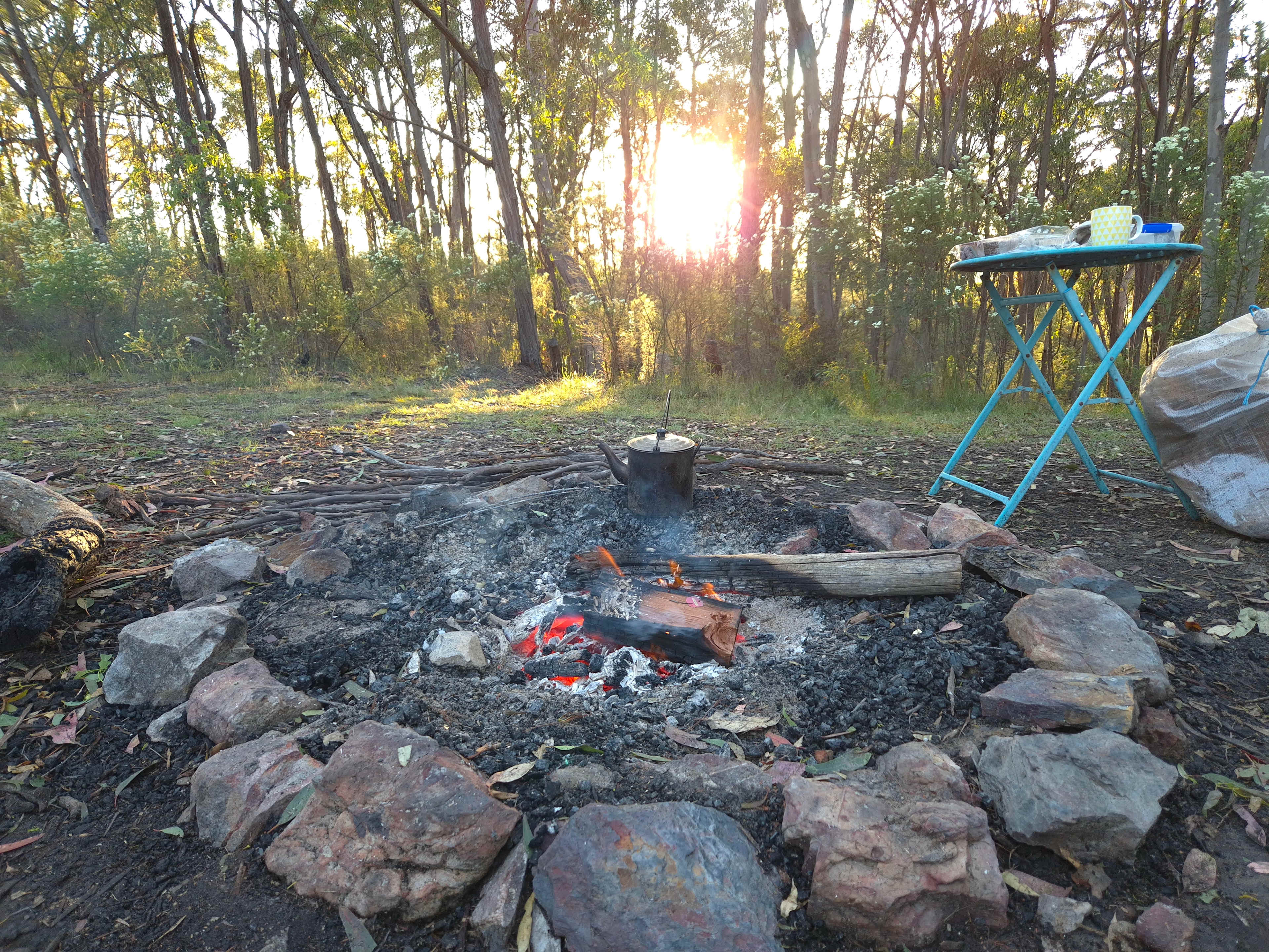 Wildwoods - Private bush surrounds