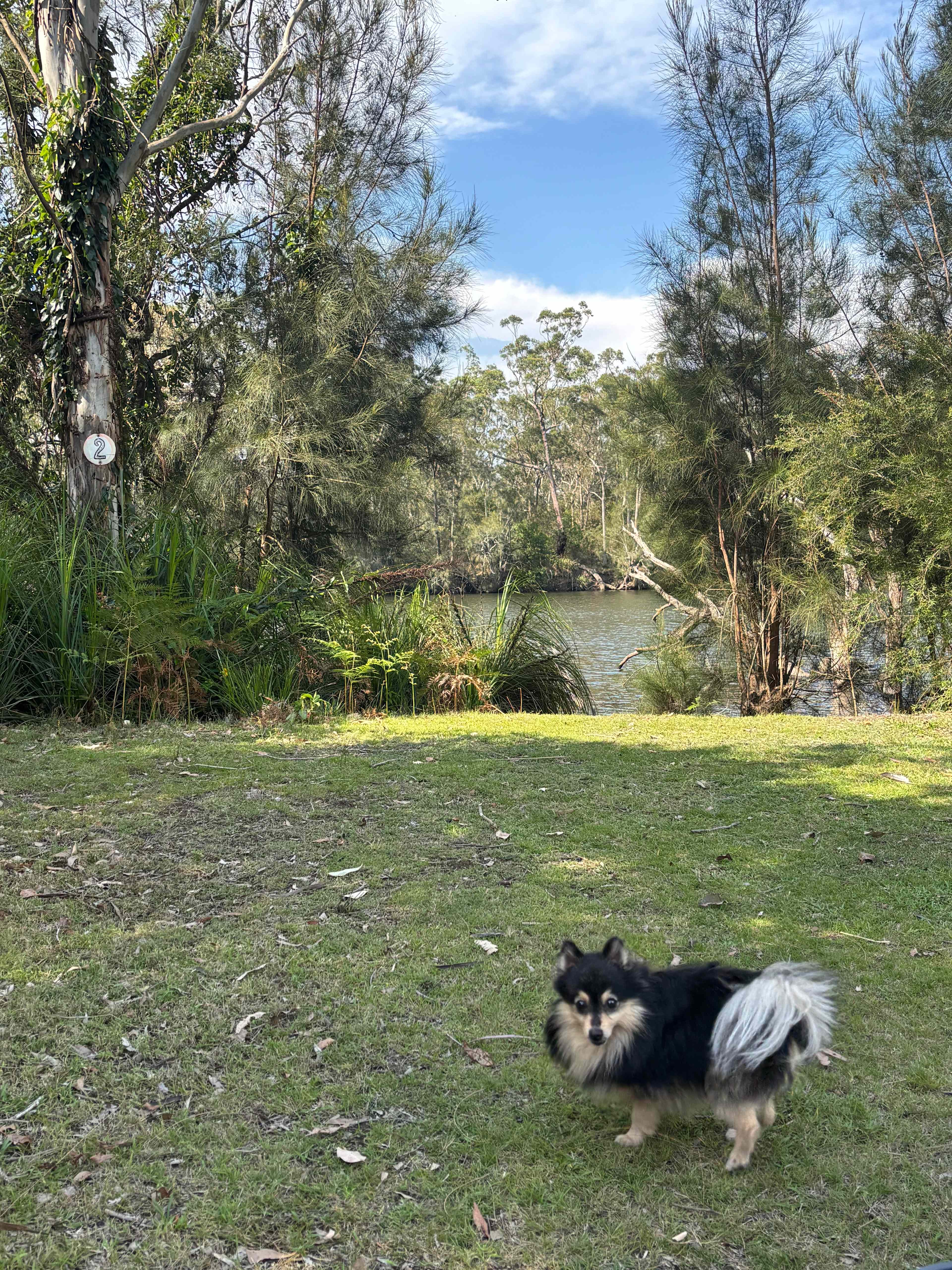 Babbling Brook 4WD Camping