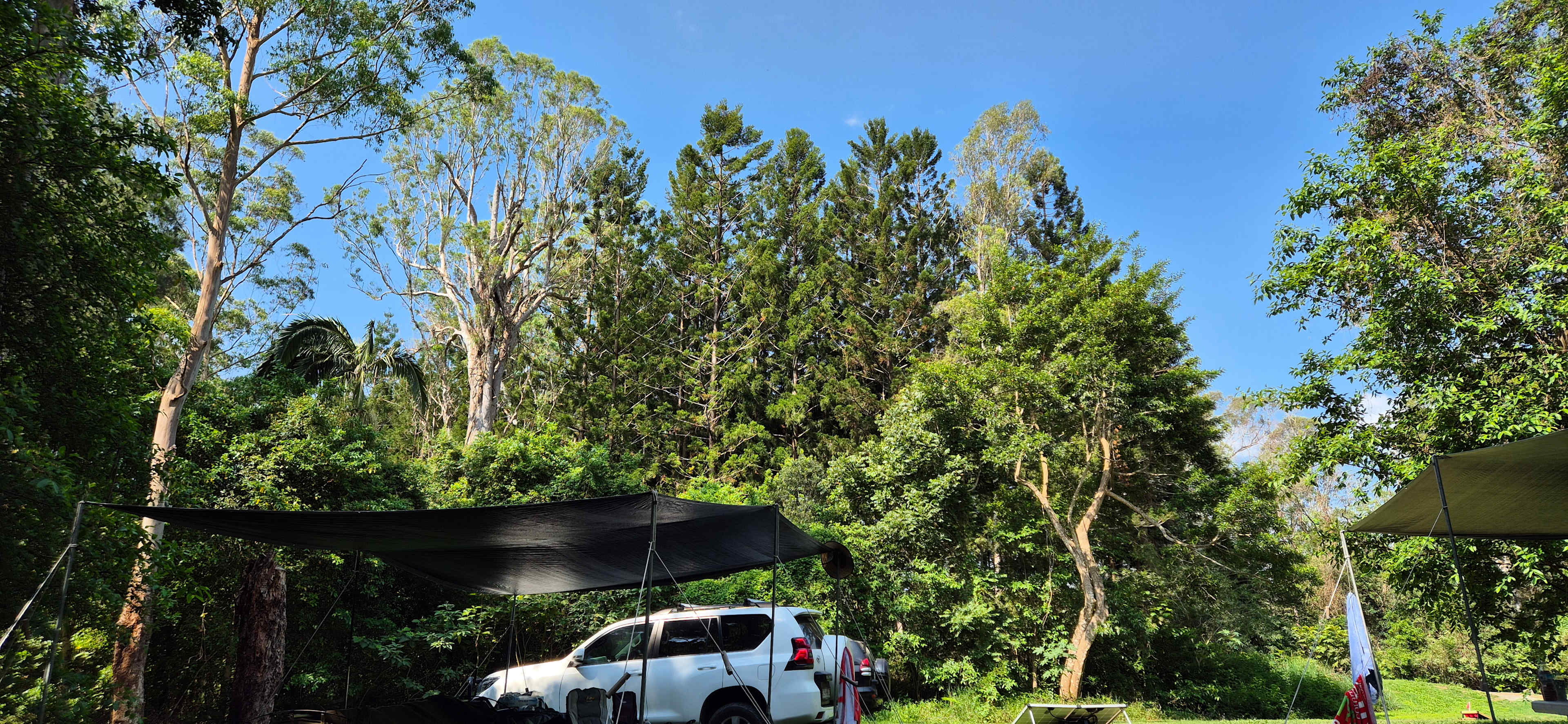 A Place To Call Home