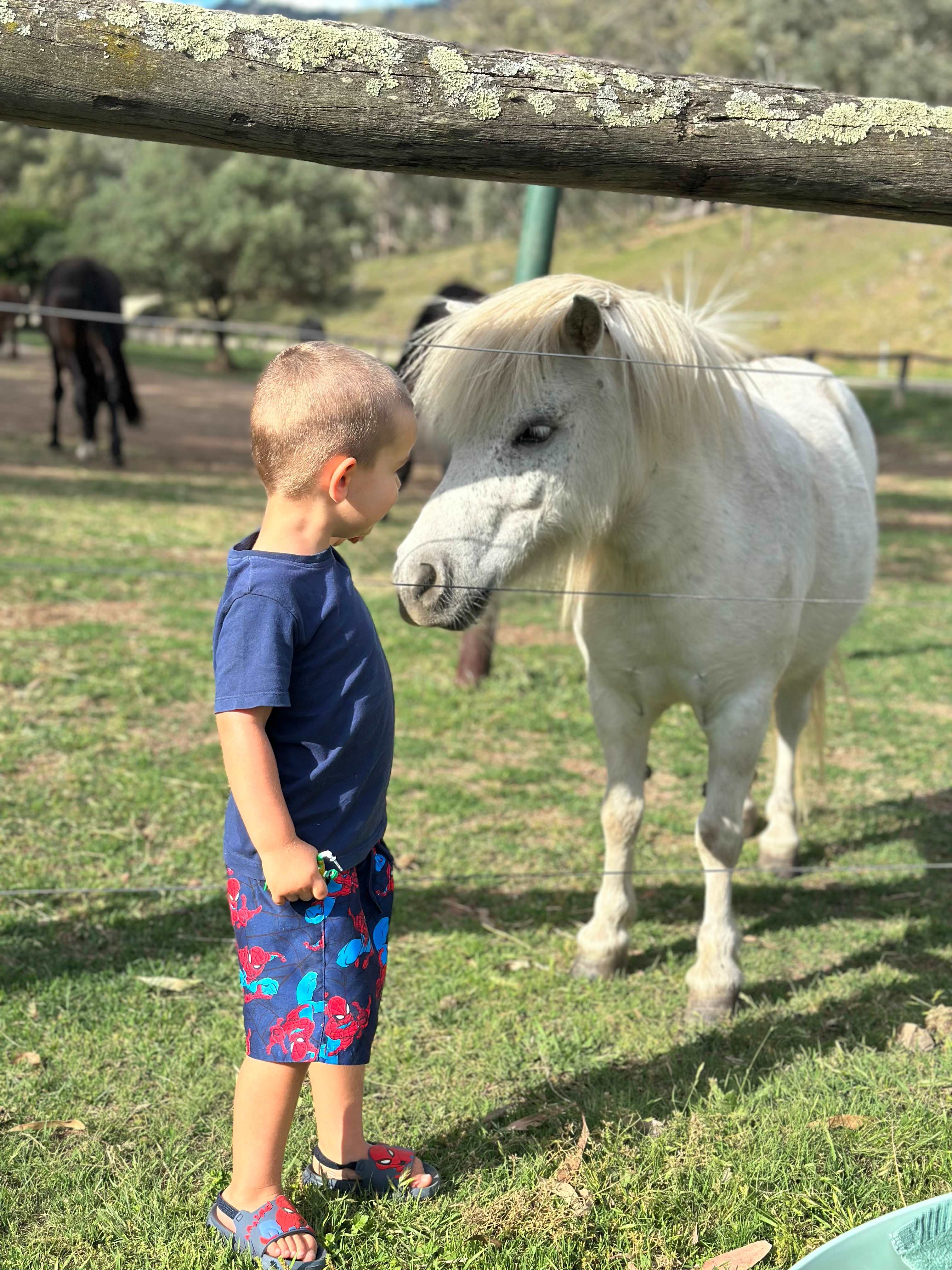 Riverside Camping, Glamping, Cabins