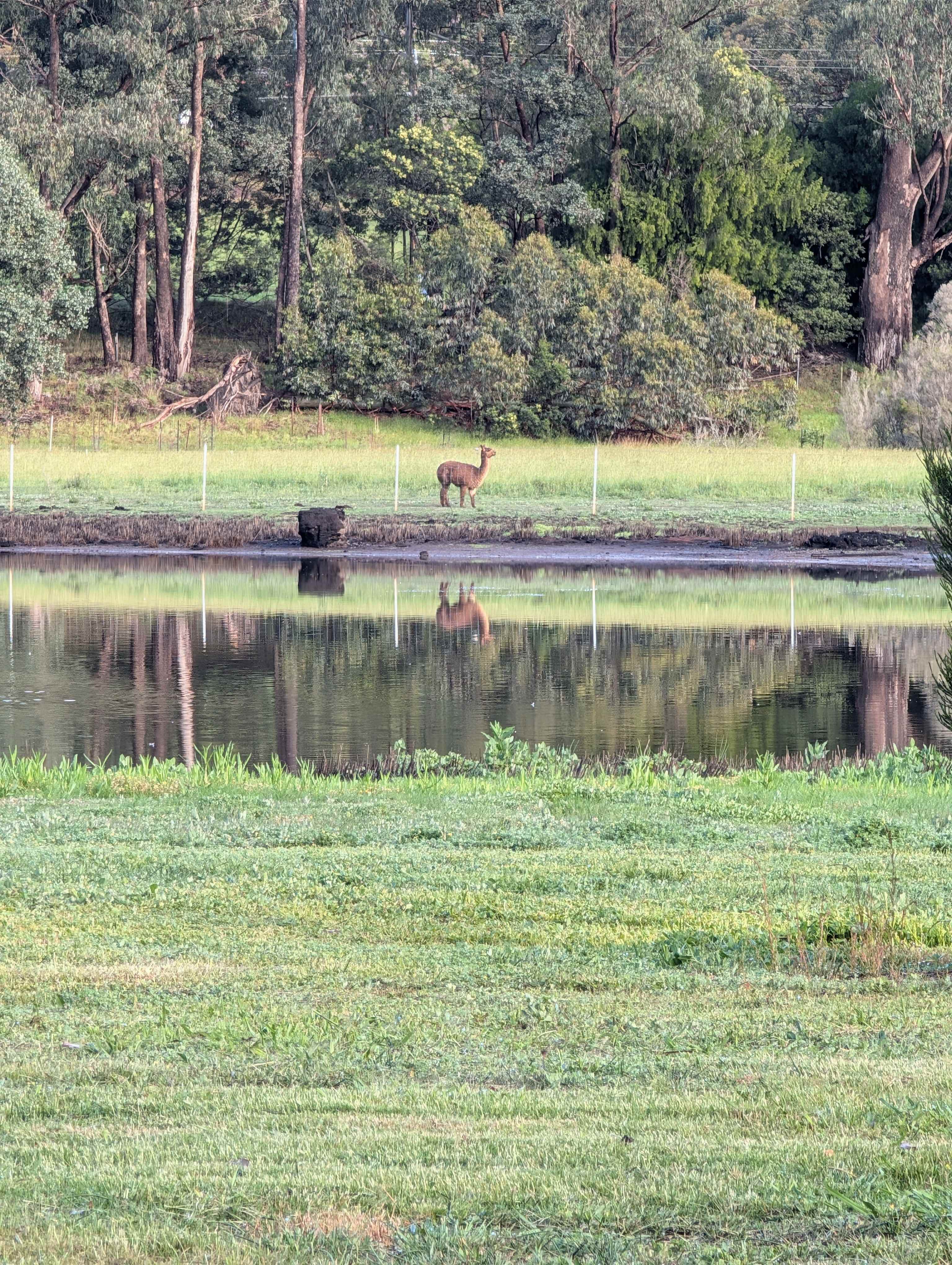 Nowa Nowa Lakeside Farmlet.