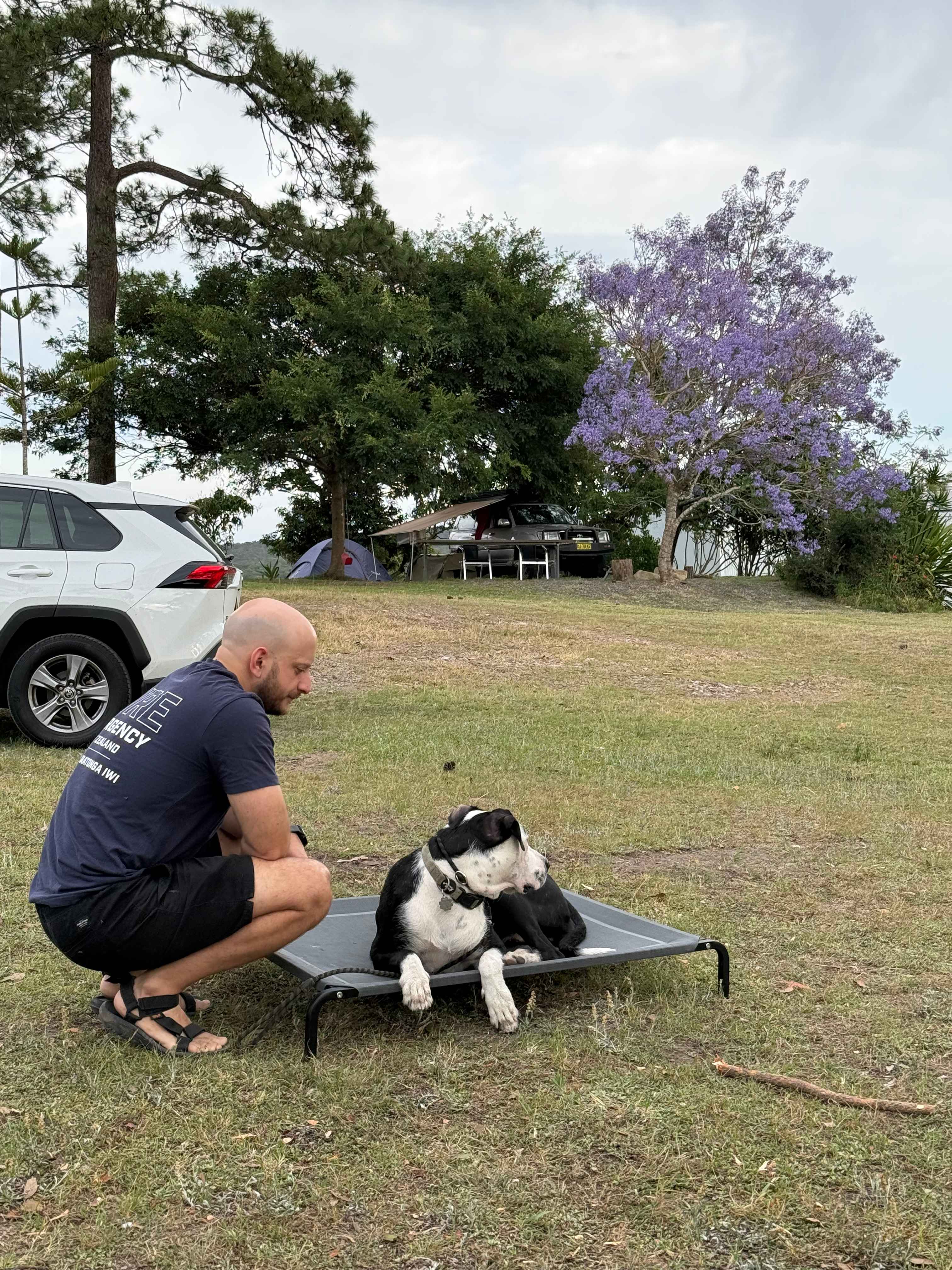 Fame Mountain Camp - pets welcome