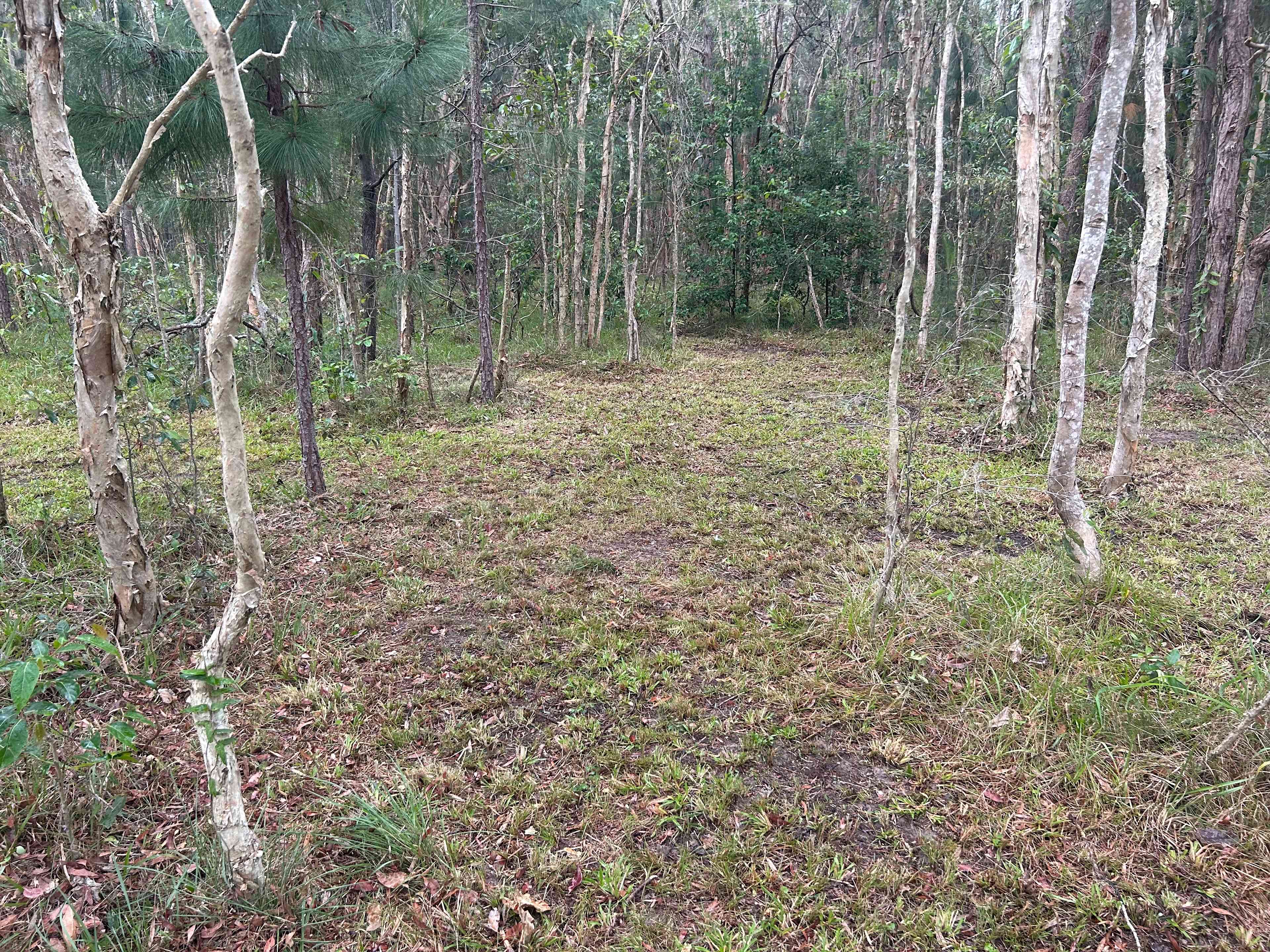 The Rose Garden Shangri-La