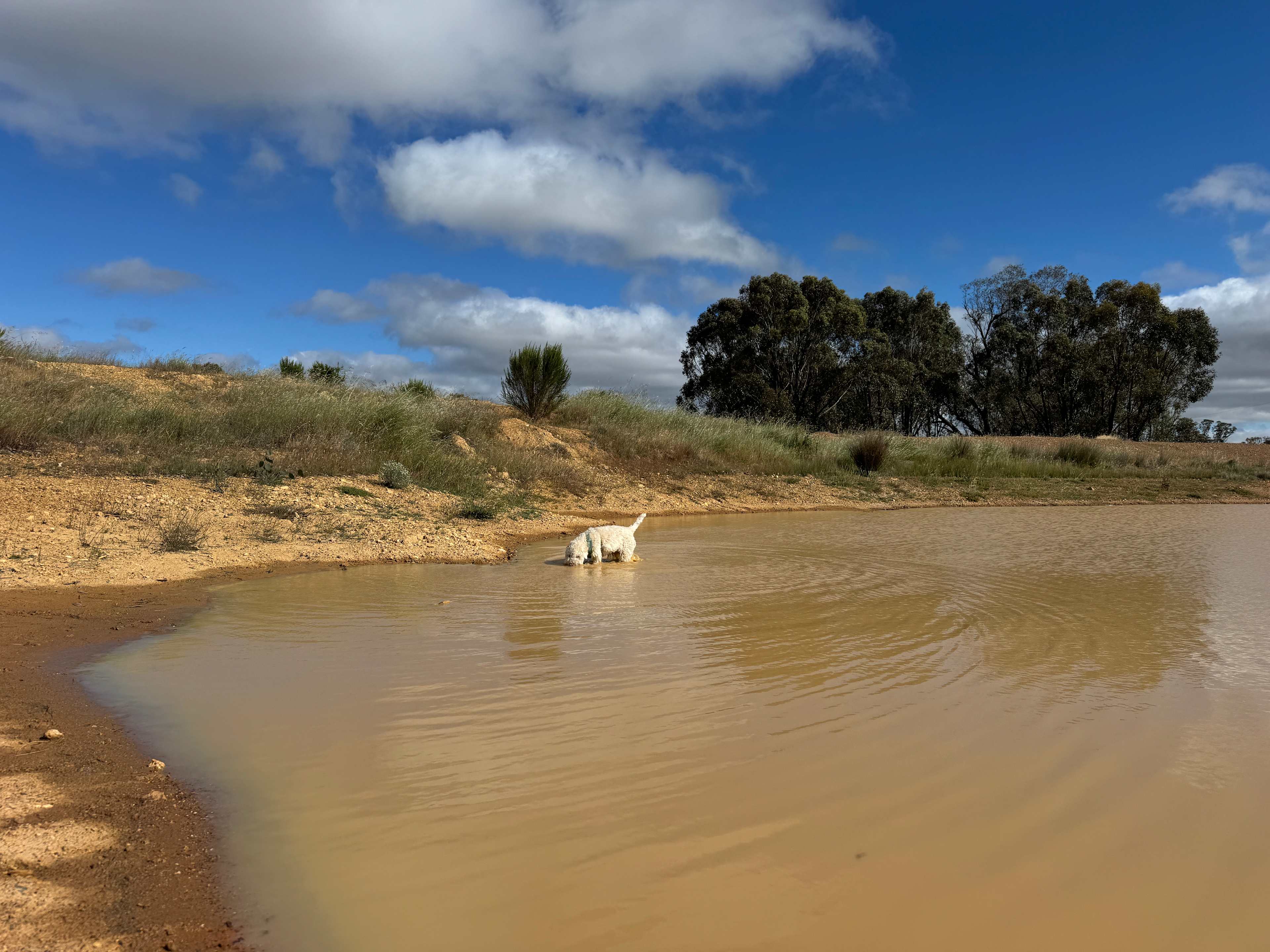 Sunset Stargazing Private Camp