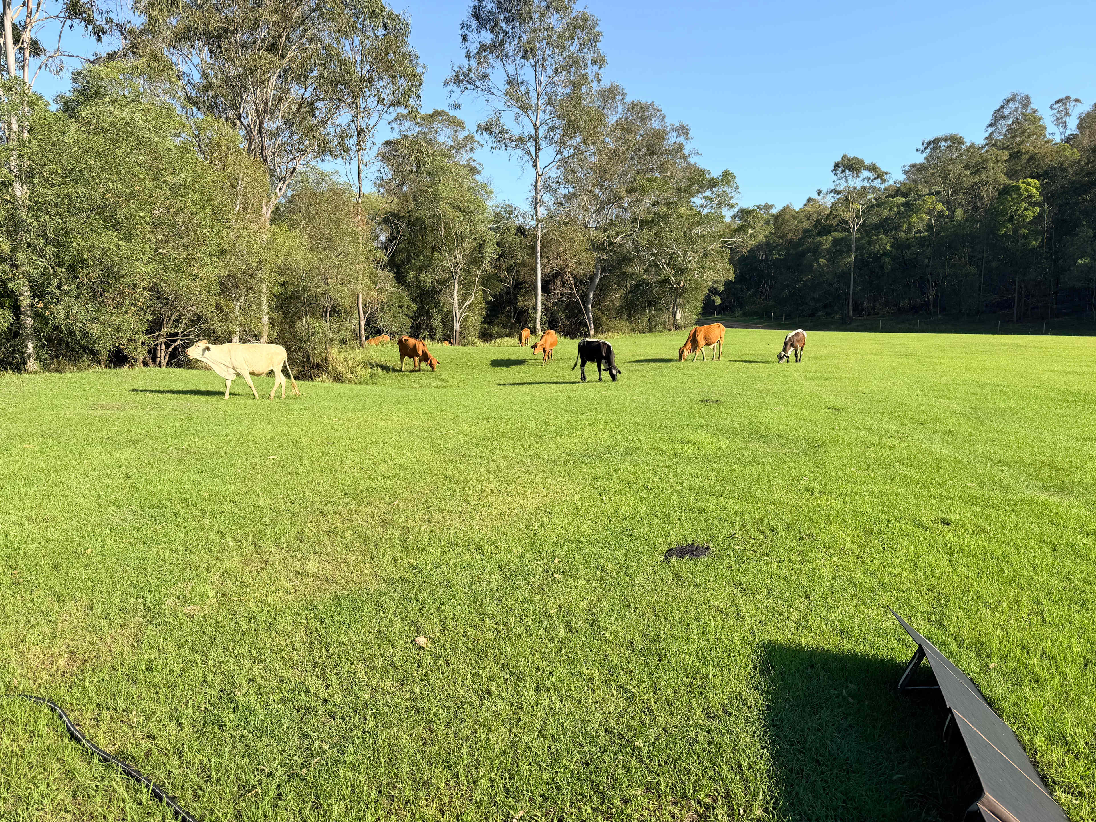 Gootchie Creek Escape