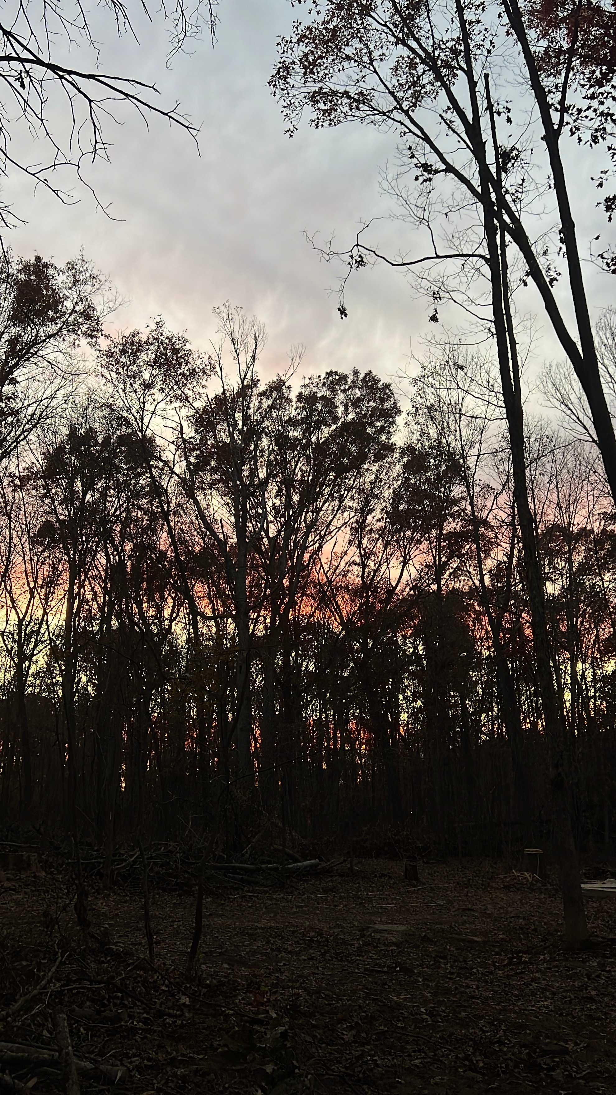 Road Runner Base Camp