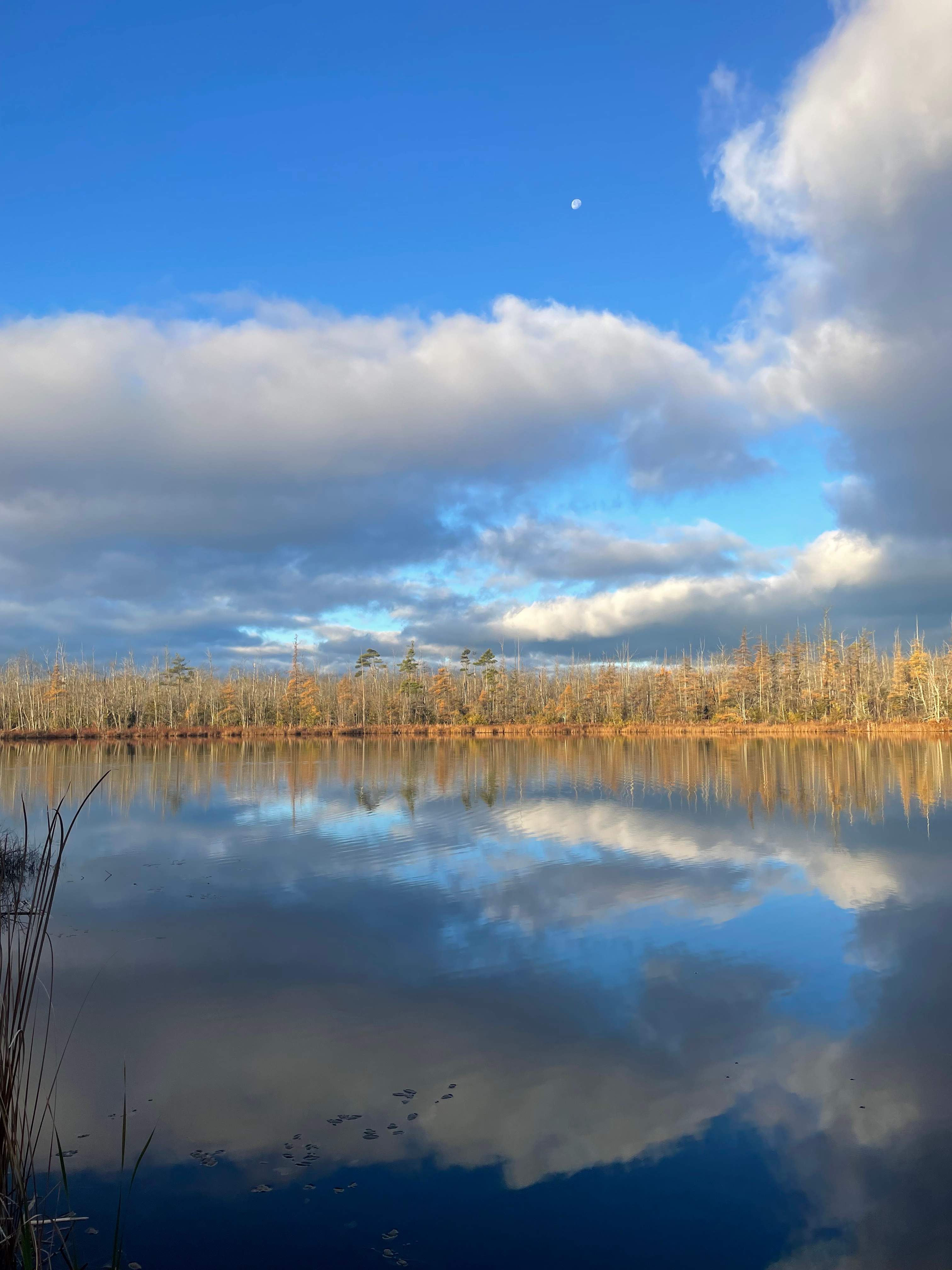 Stillwater Bunkie and RV Site