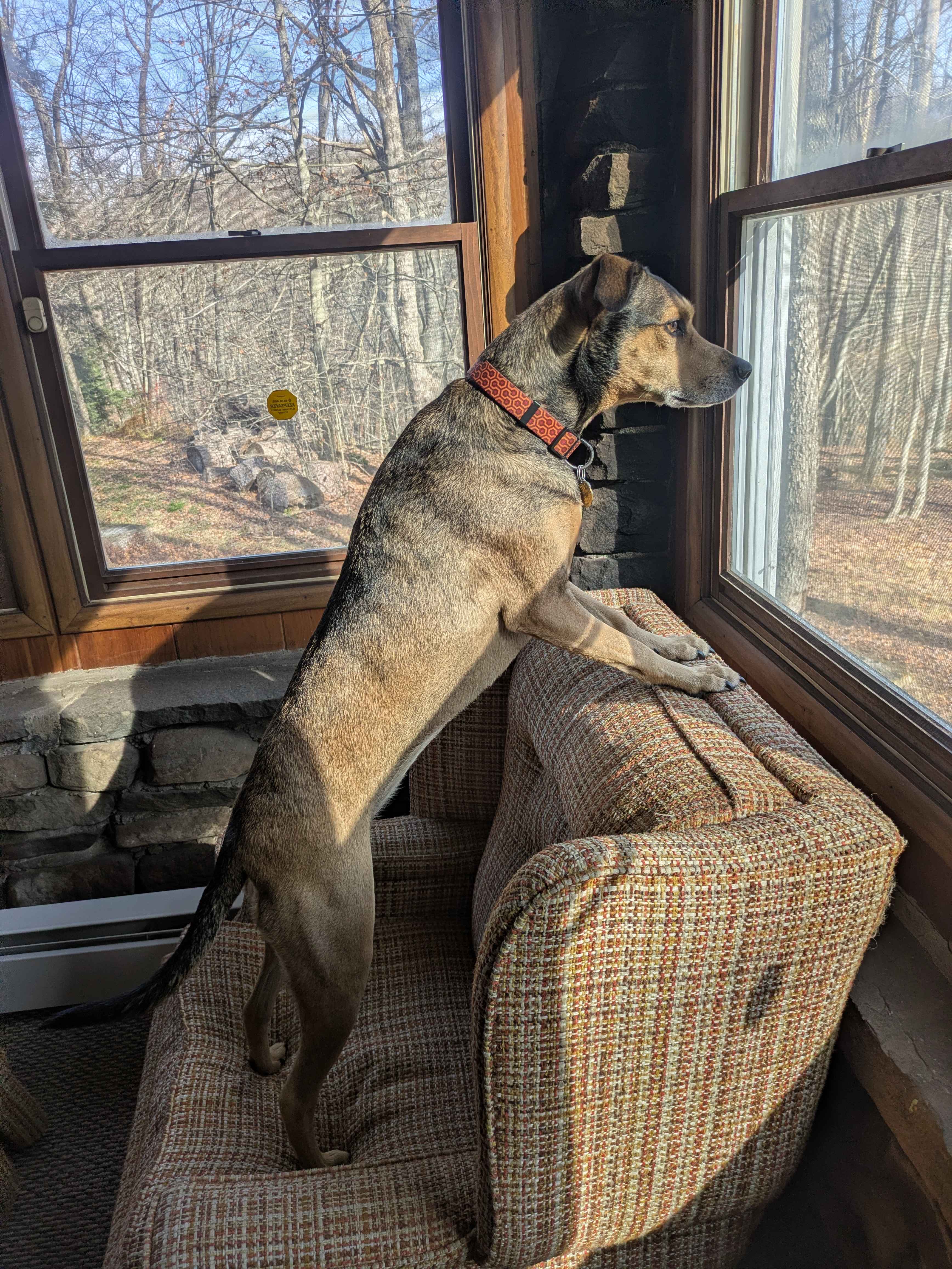 Pocono Cabin With No Name