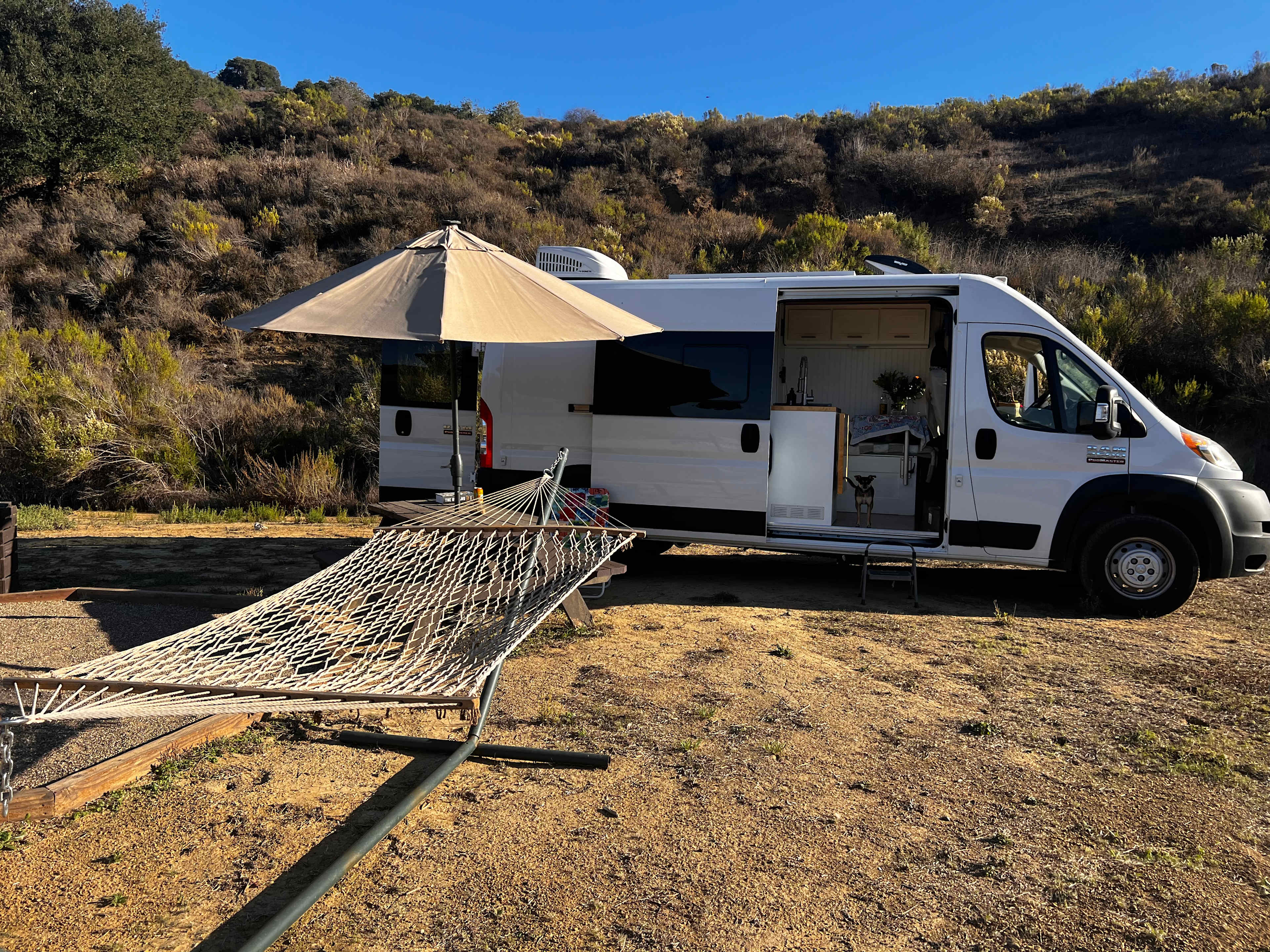 Freedog Farms @ Cactus Flower Ranch