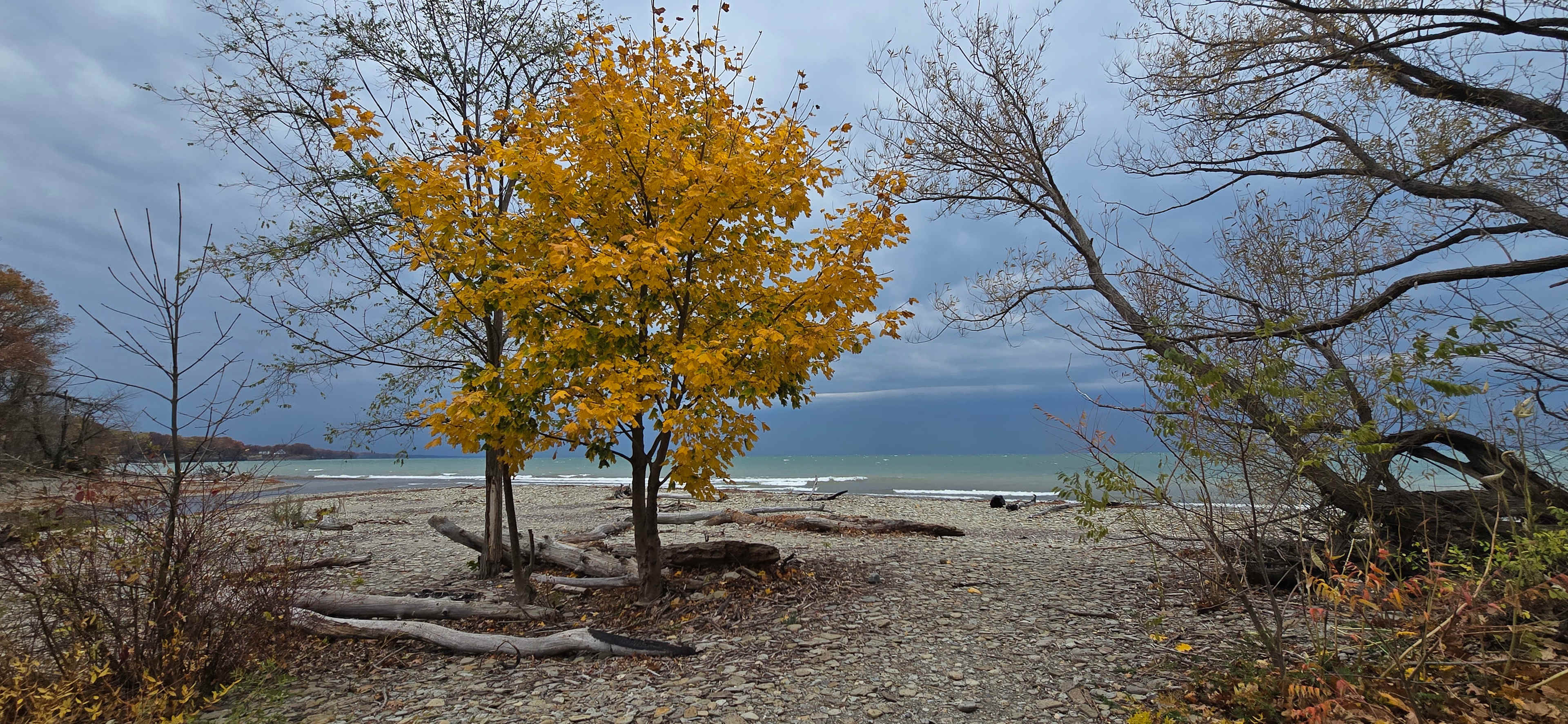 Steelhead Run Recreation Area