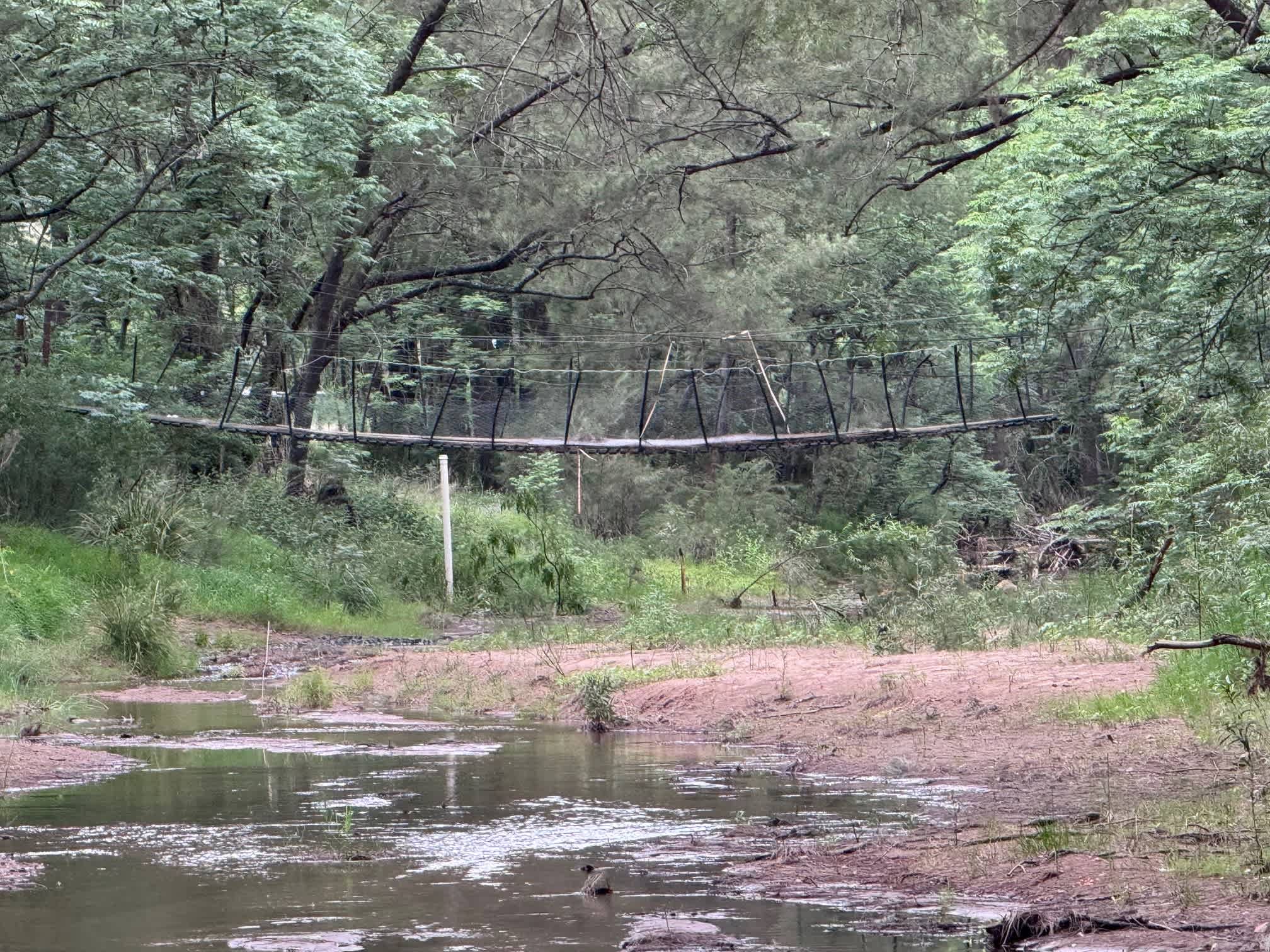 Beelisco Honey Hipcamp