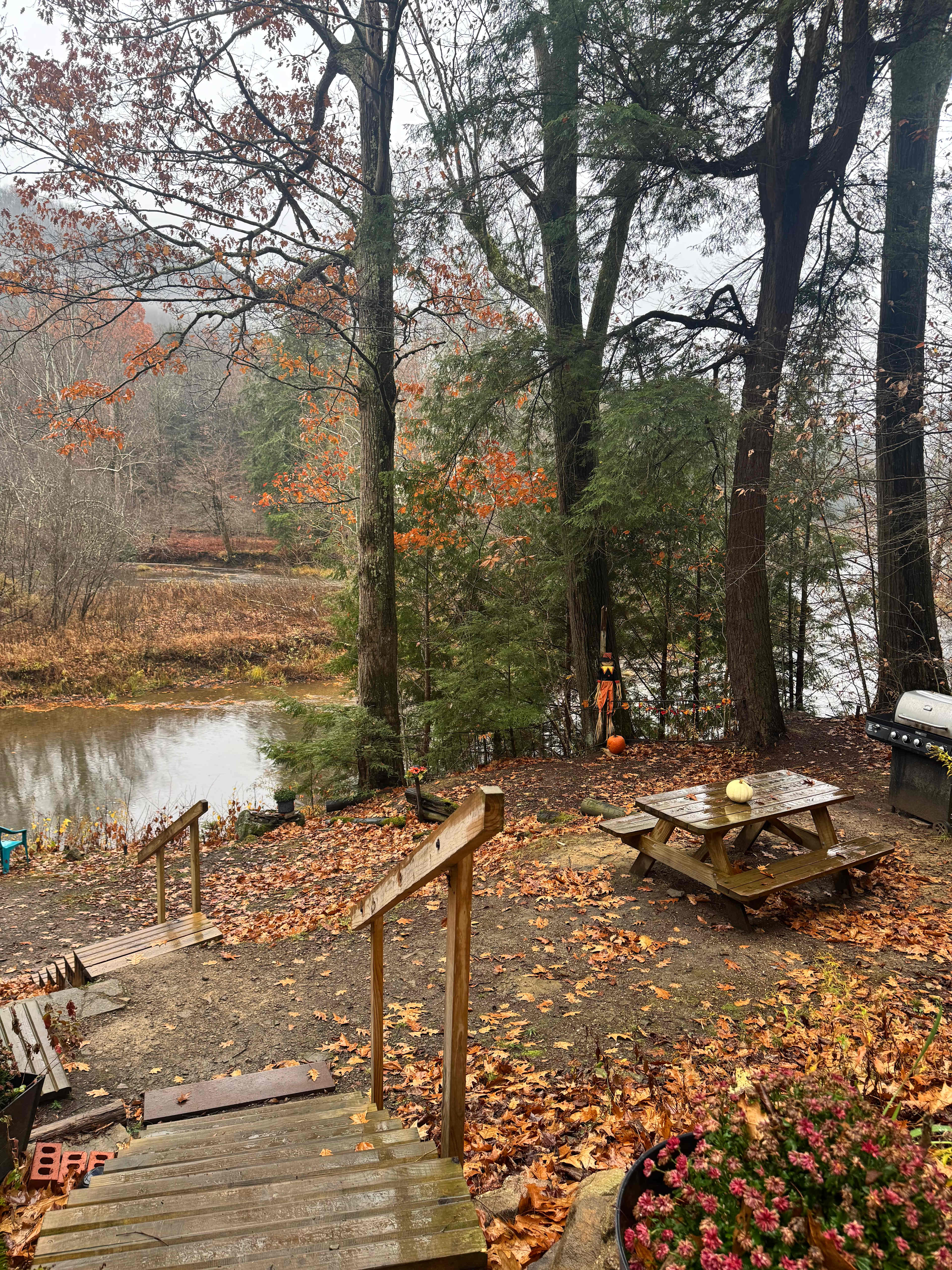 The Nest - Creekfront Cabin In ANF
