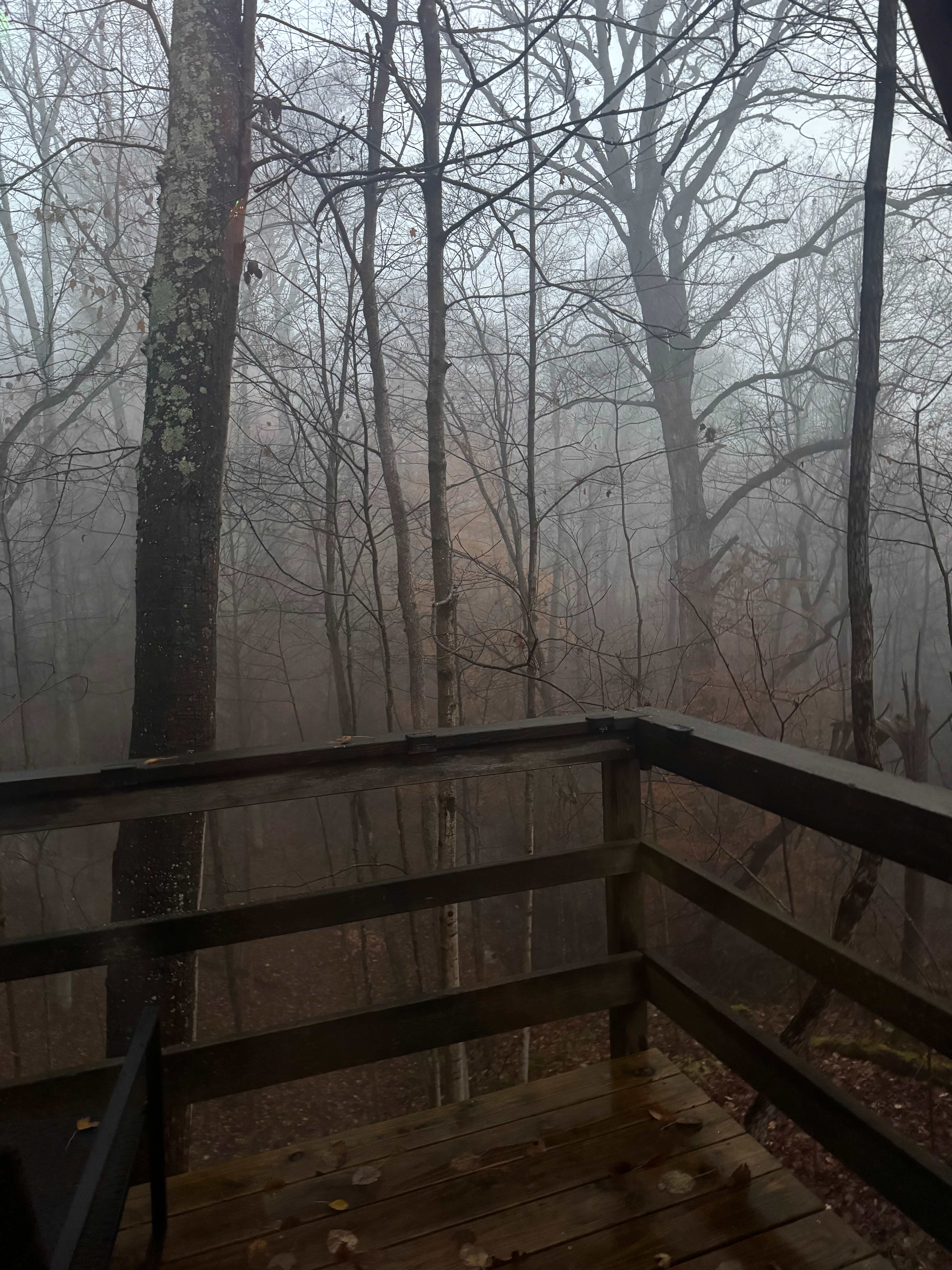 The foggy morning 💕🍁