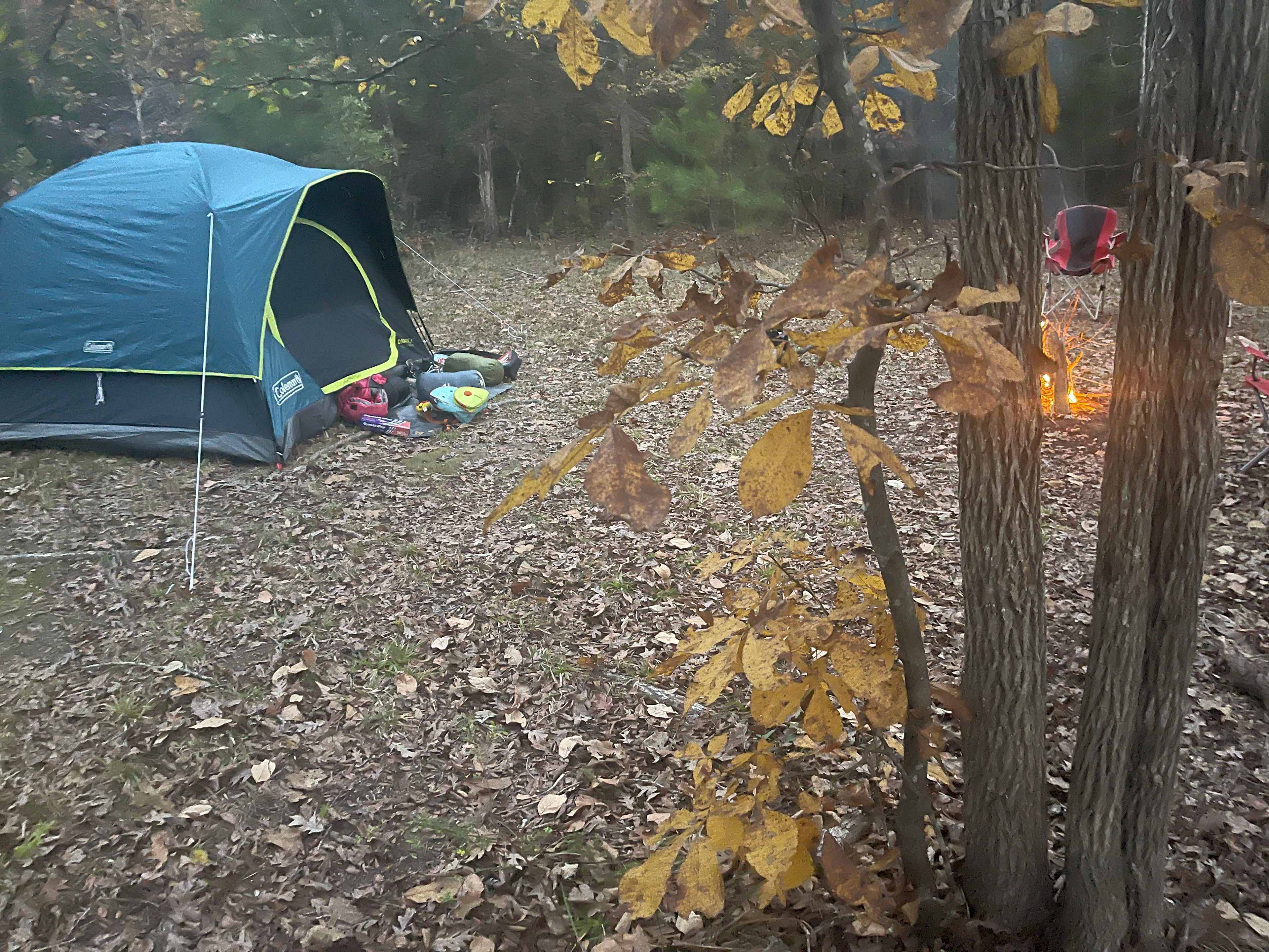 KALEIDOSCOPE FARM - Nature!