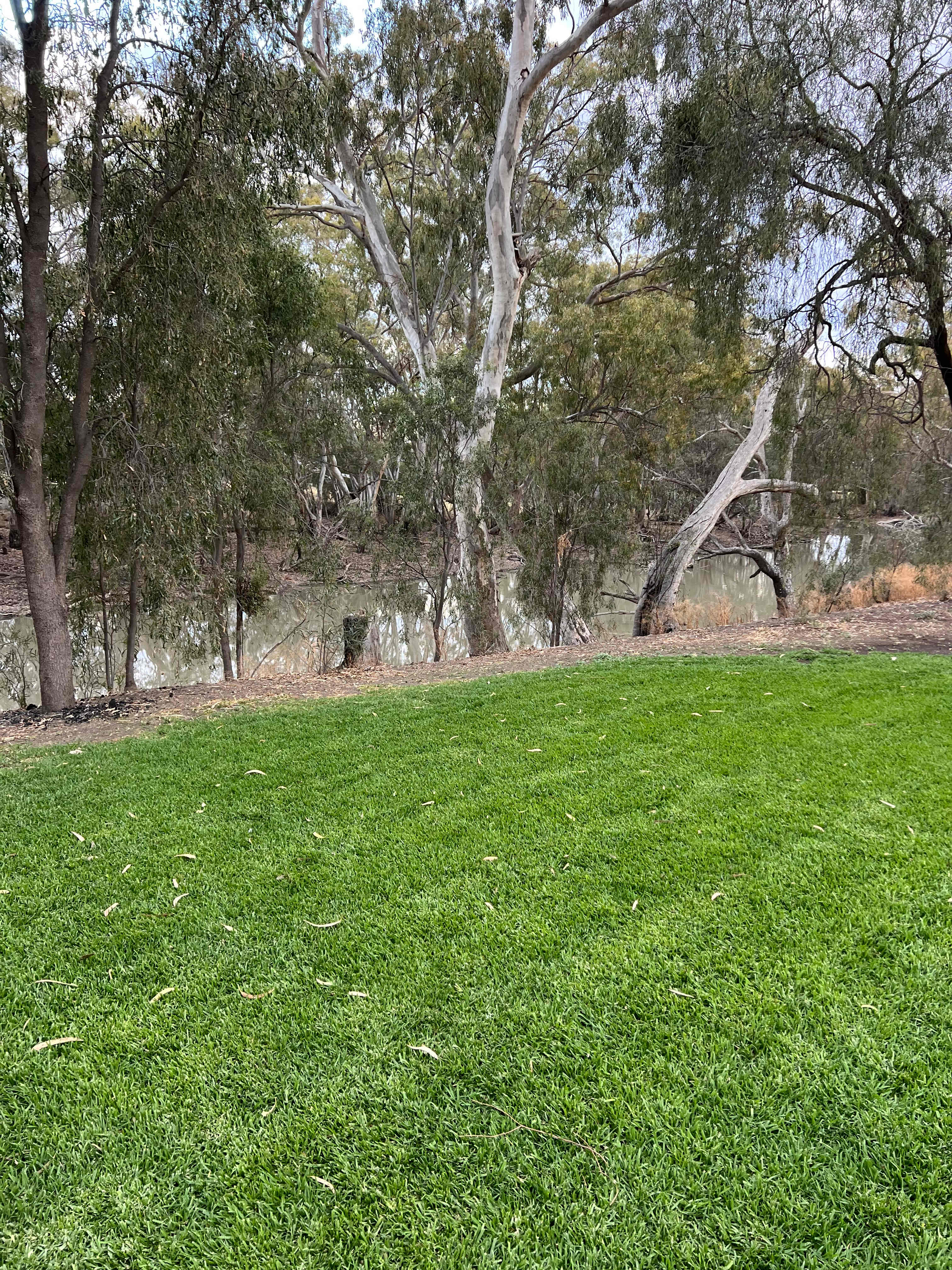 Wanganella Camp Park