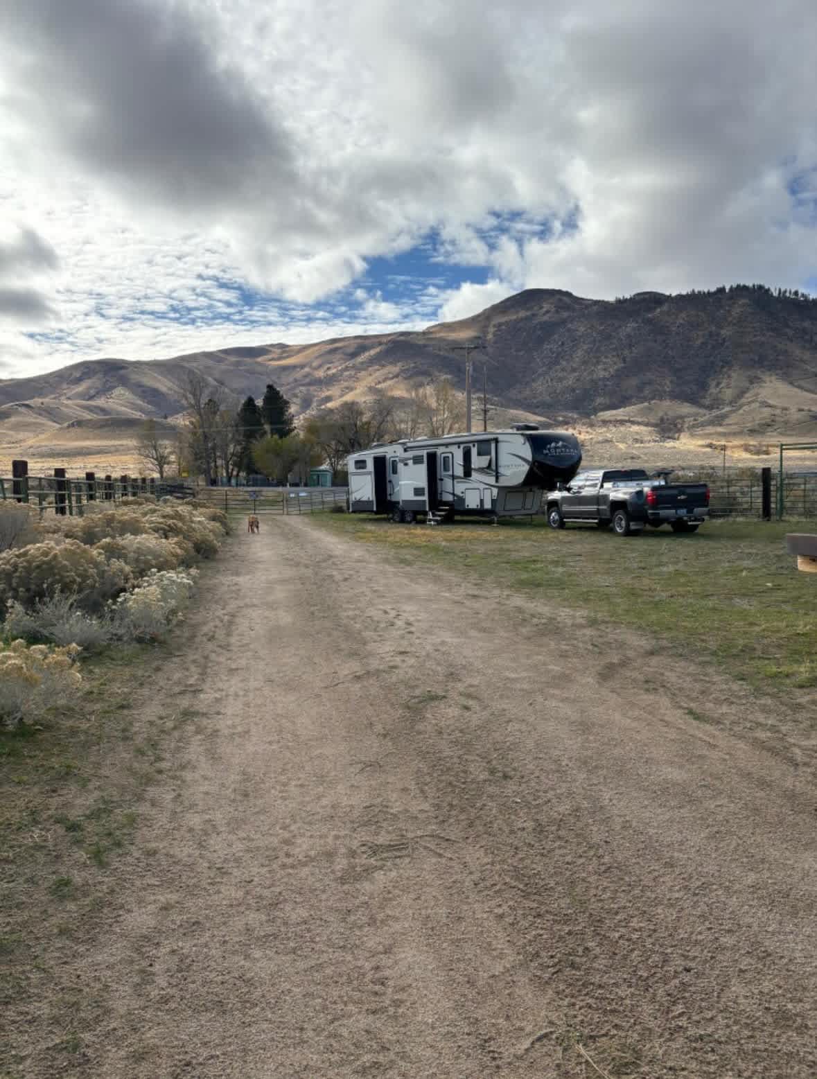 Missy’s Mountain Meadows