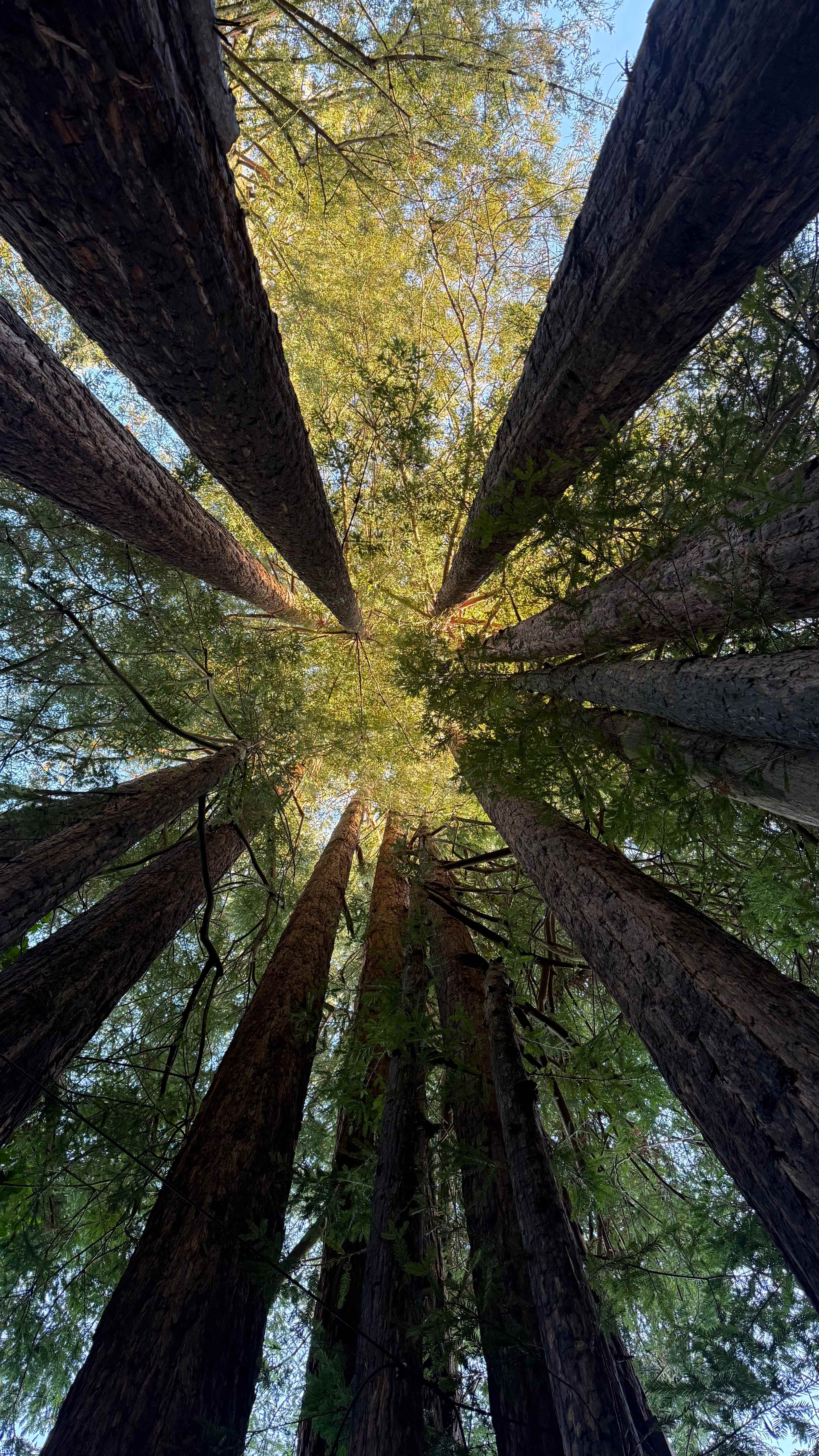 Waking up to this was amazing 