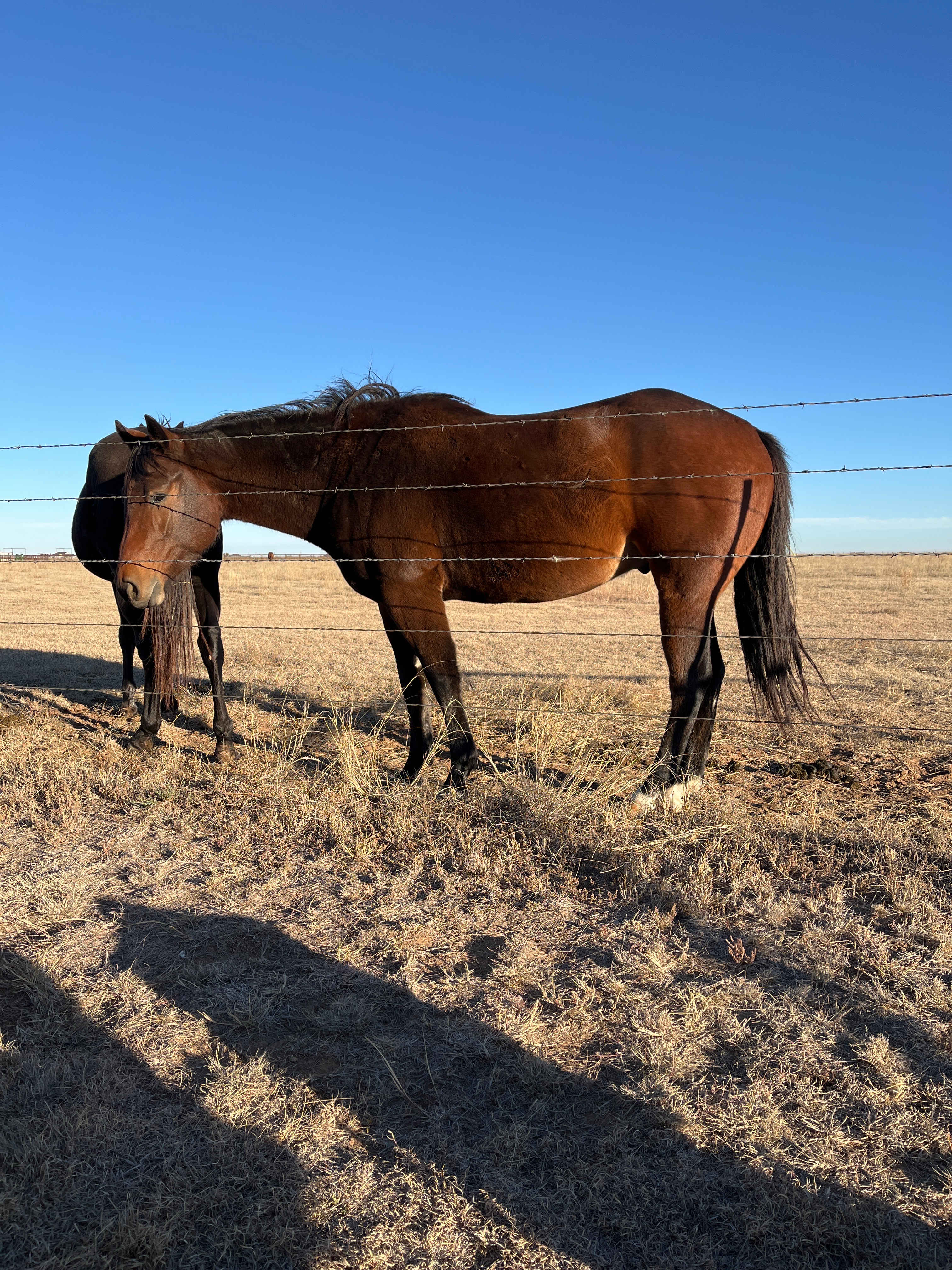 Banner Country Hideaway Campground