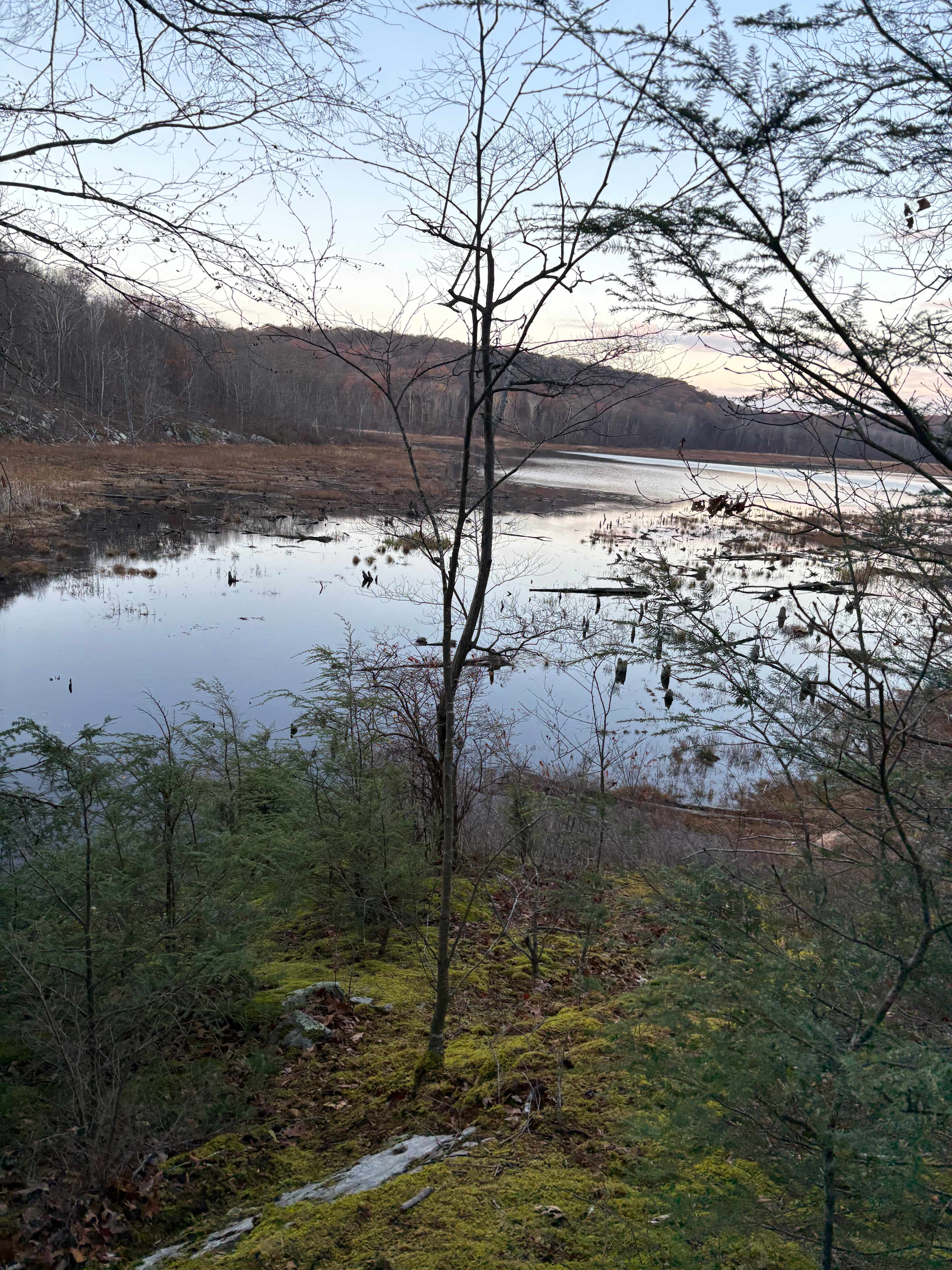 Paradise Valley Homestead