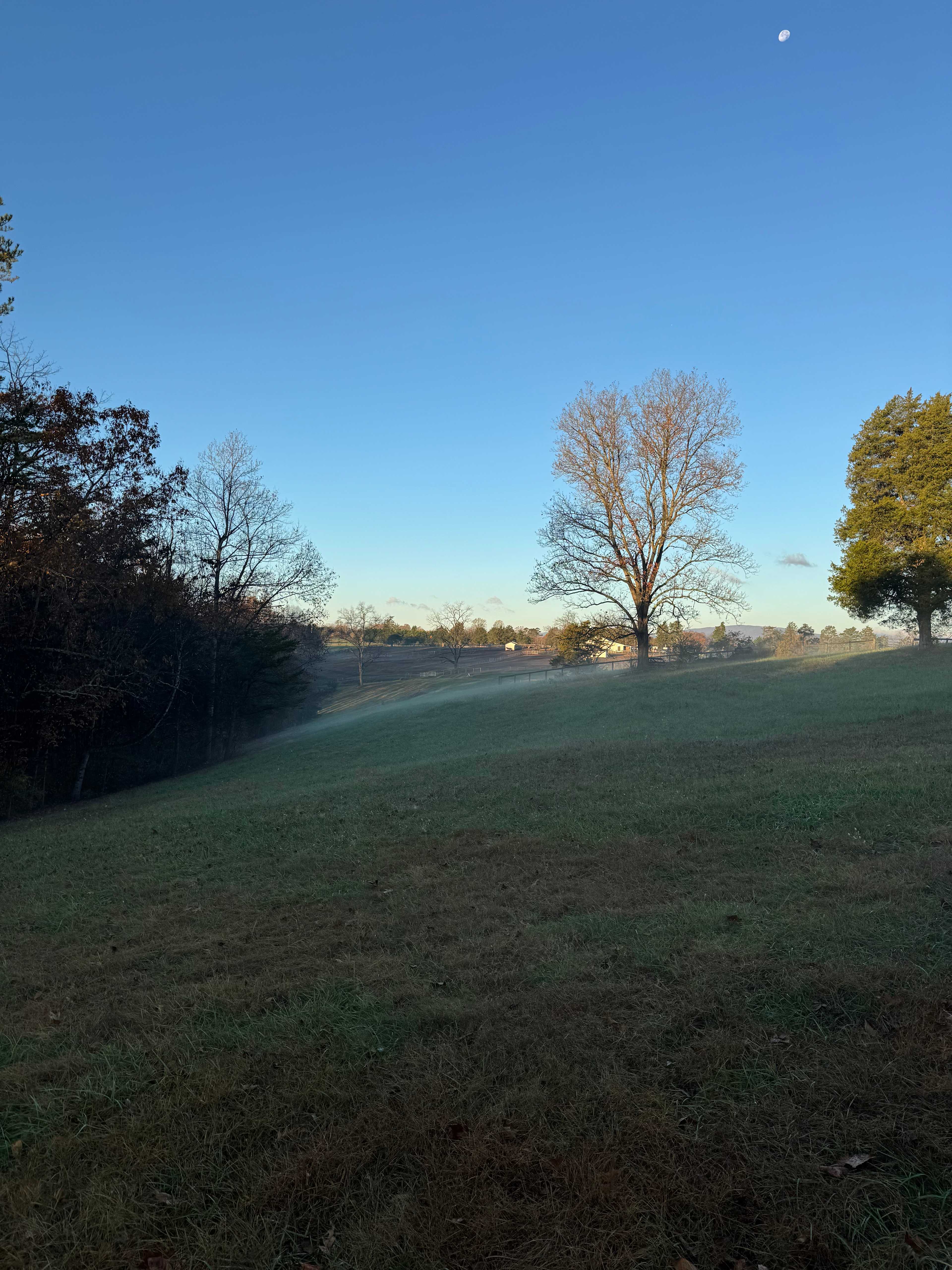 Private Farm Minutes to Cville