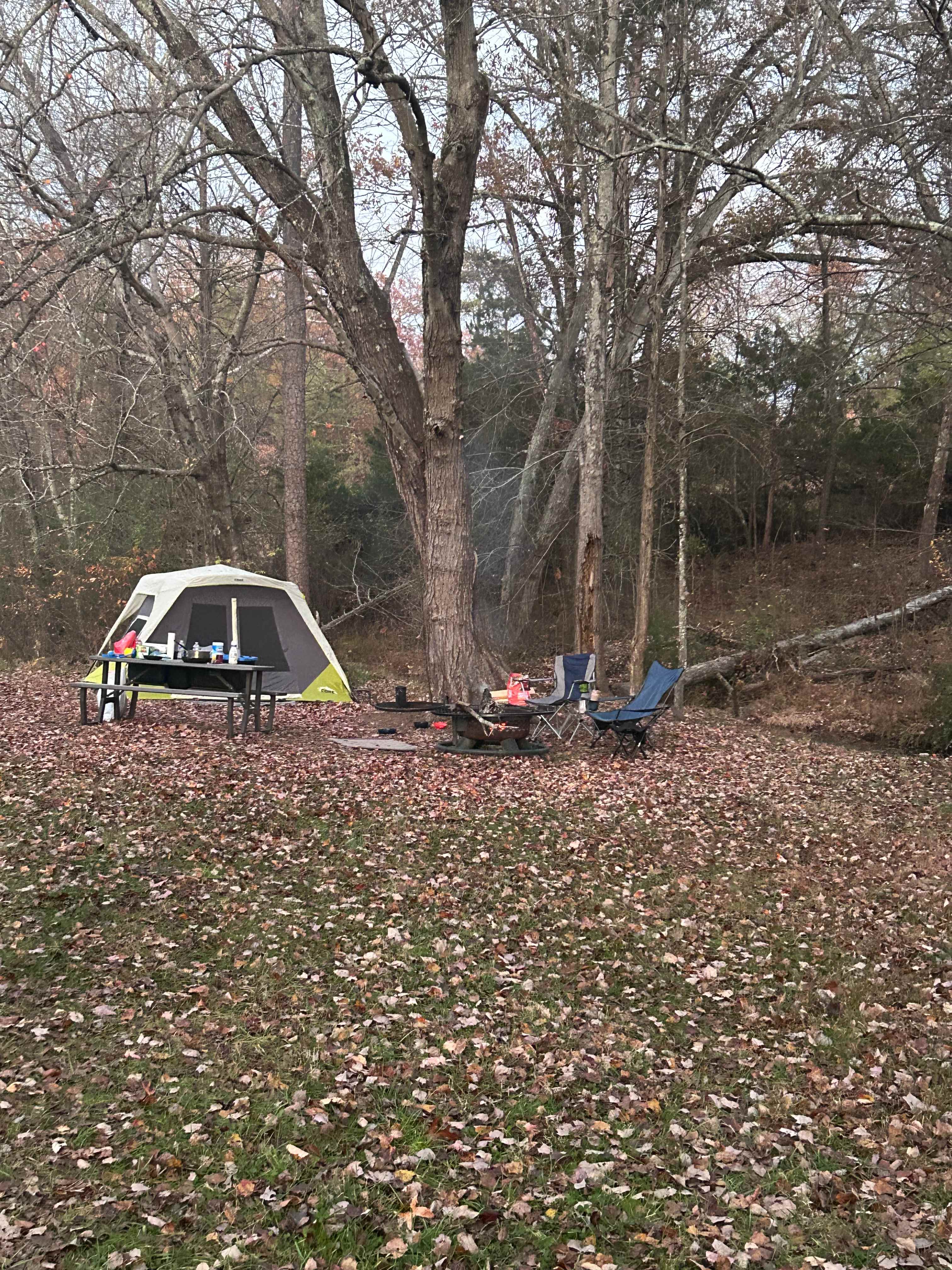 Southern Revere Vineyard & Farm