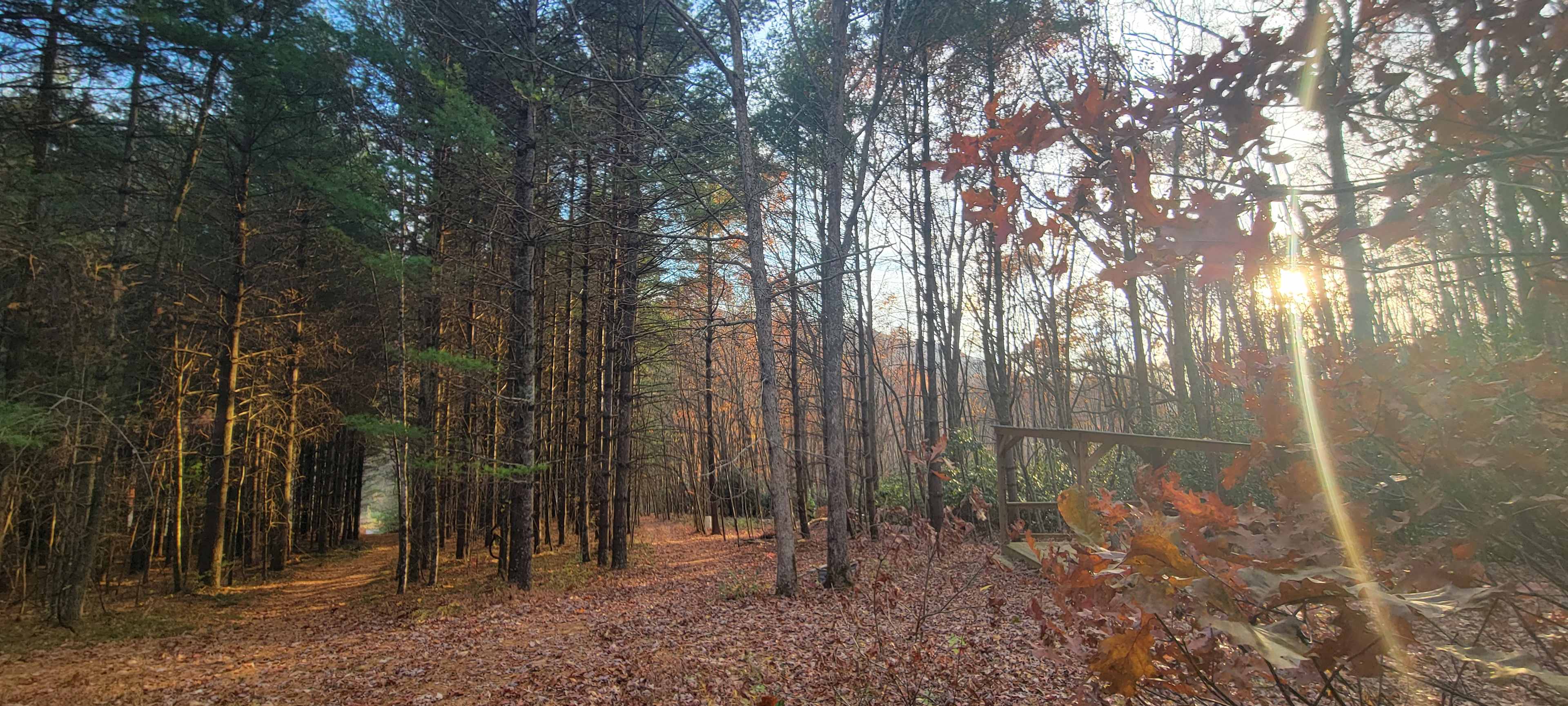 Loved walking the trials on Tracy's property 