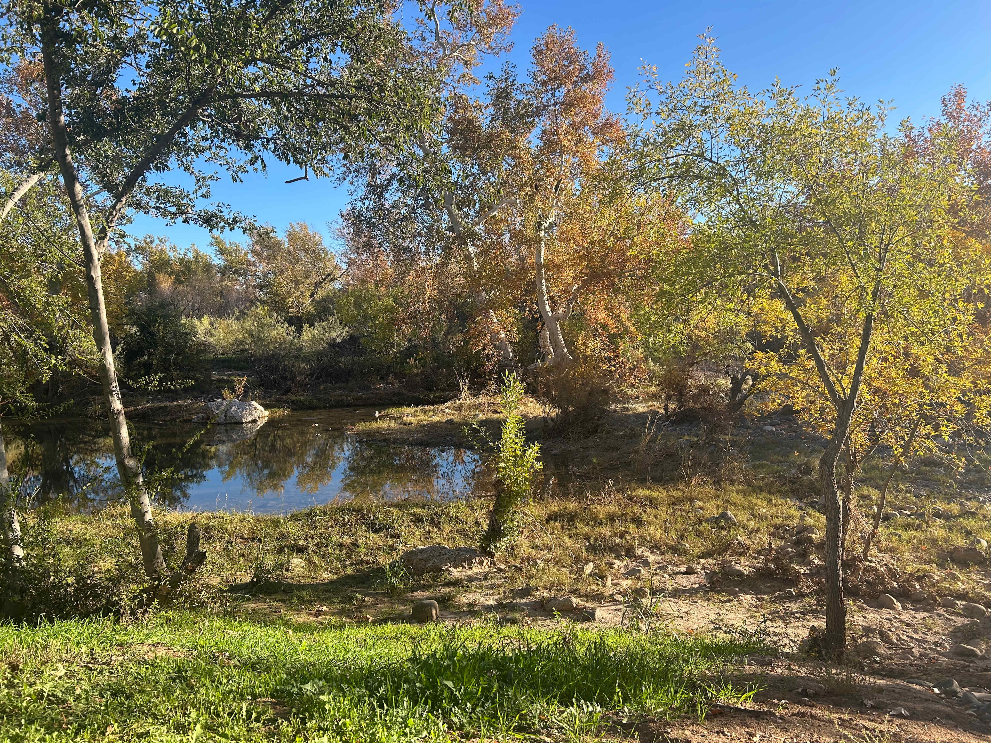 Creekside Retreat on 3 Acres!