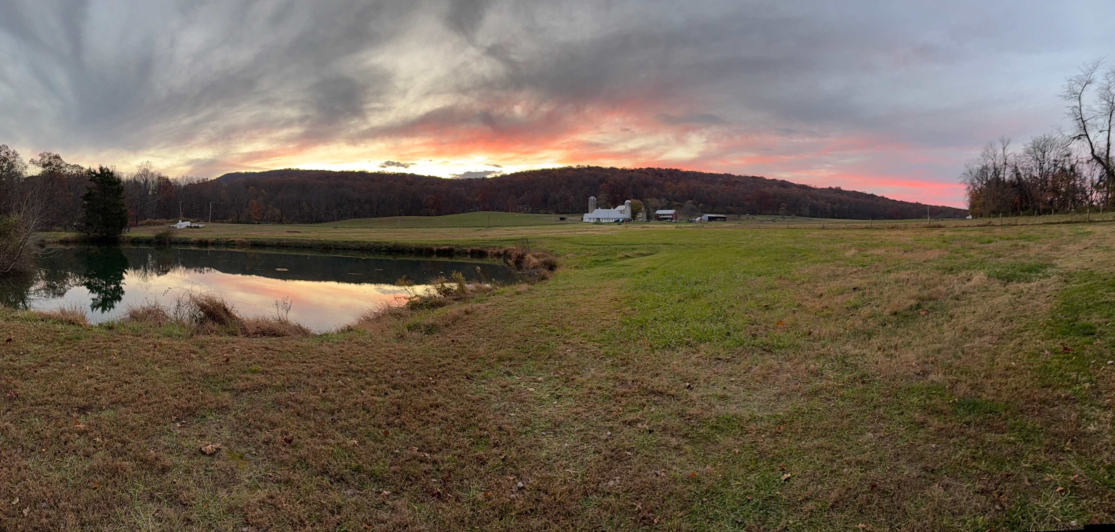 Happy Heart Highlands and Alpacas