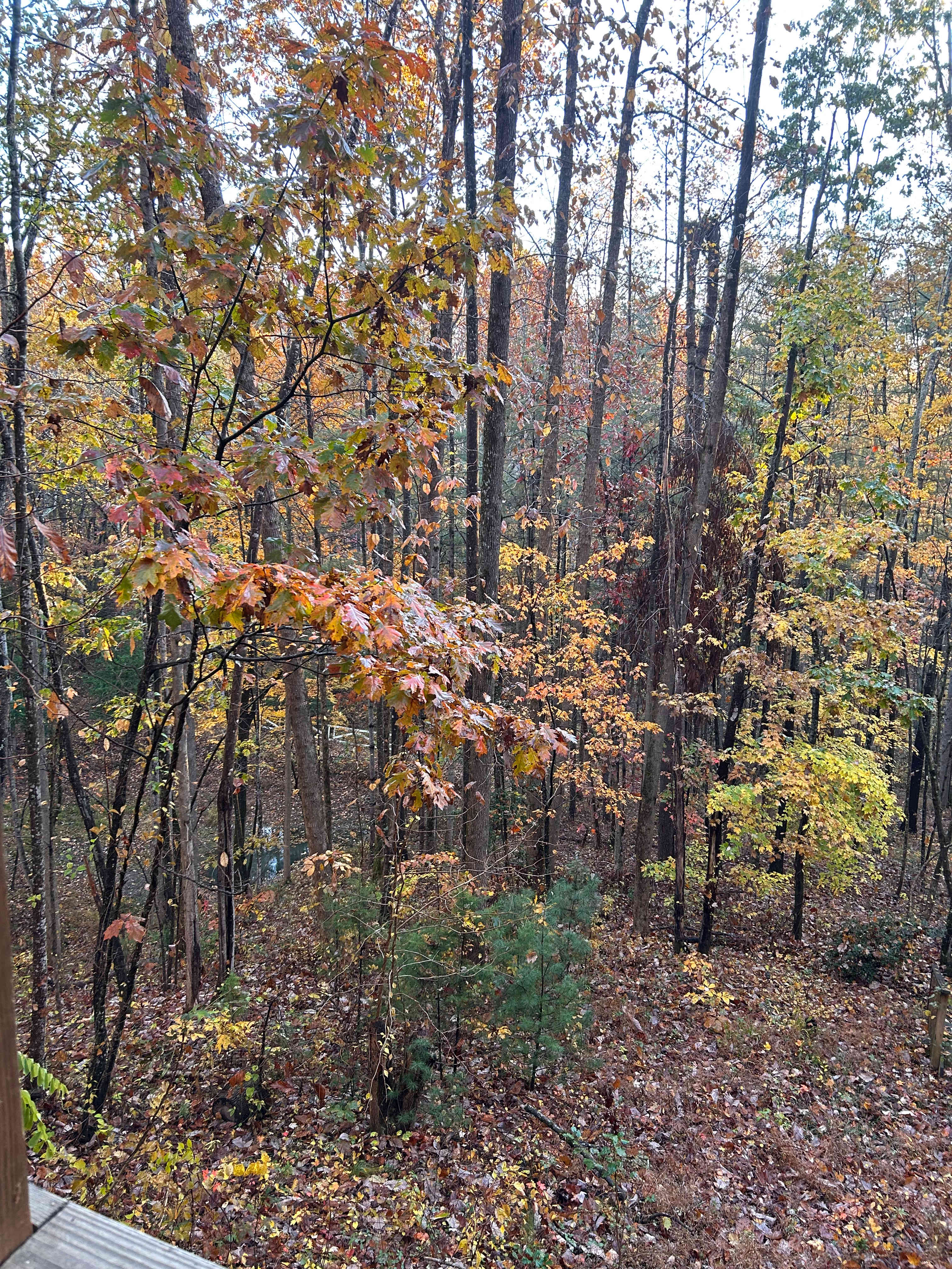 Was such a nice place to wake up and have some coffee with a view 