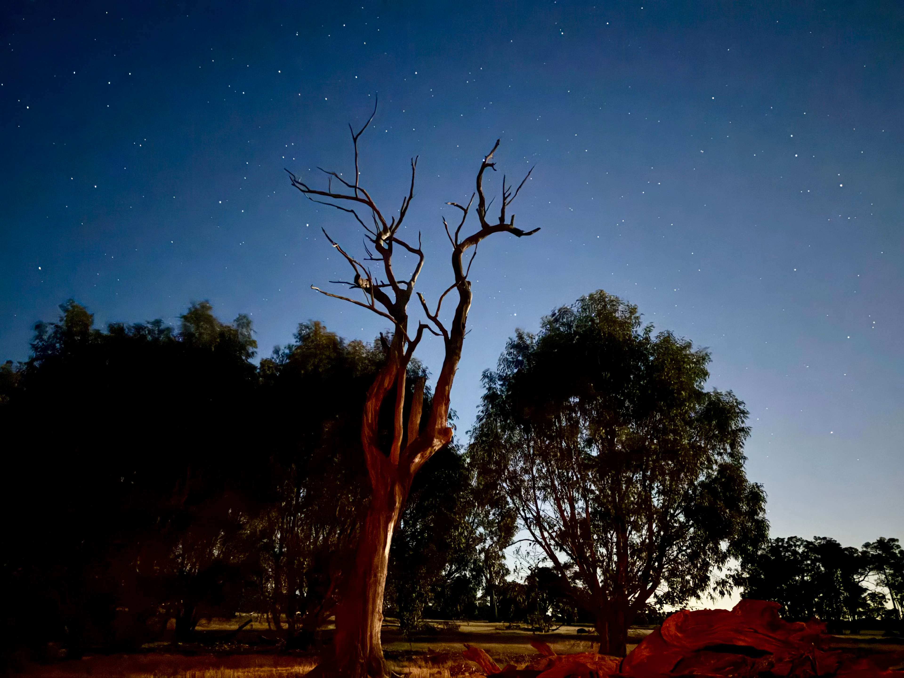 Herron Point Farm Stay