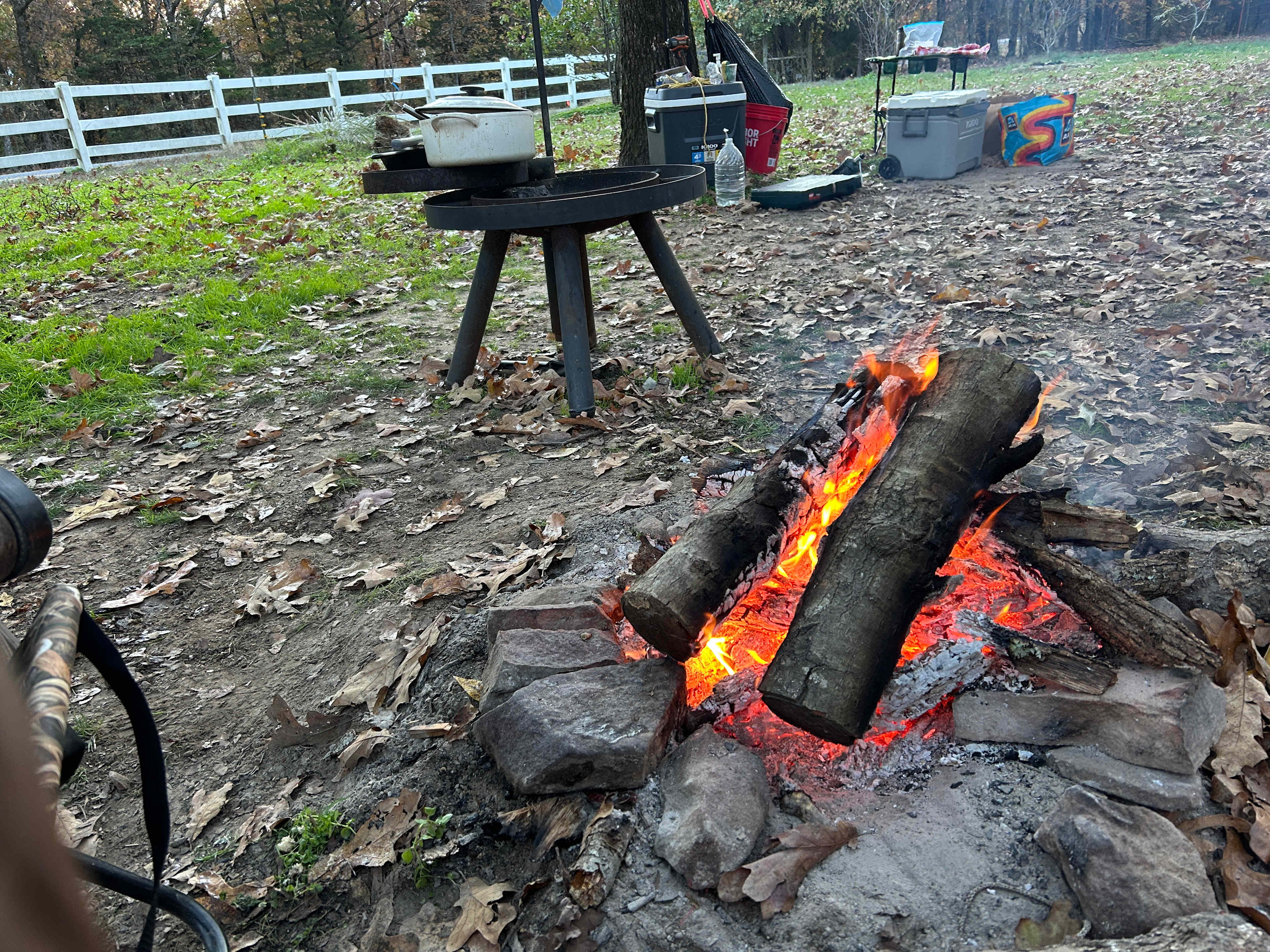 Petit Jean Farm Orchard