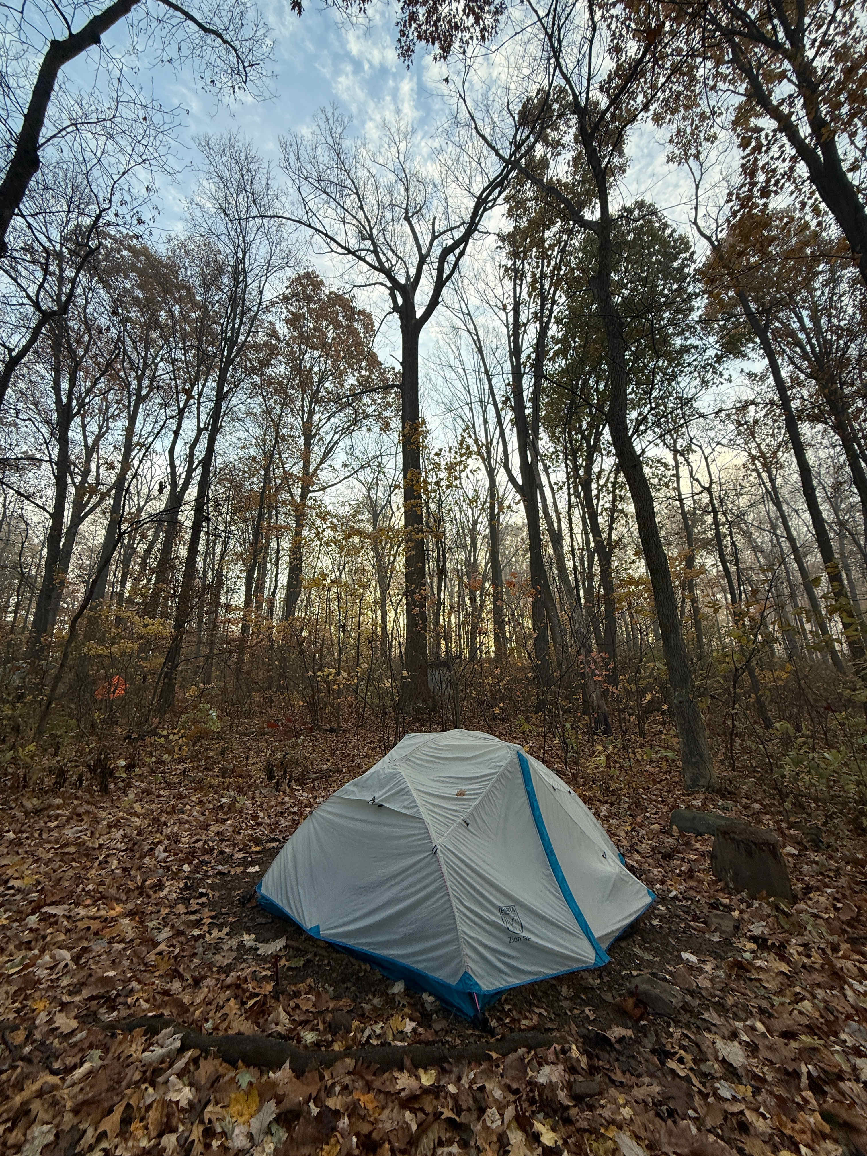 Plenty of room for tents