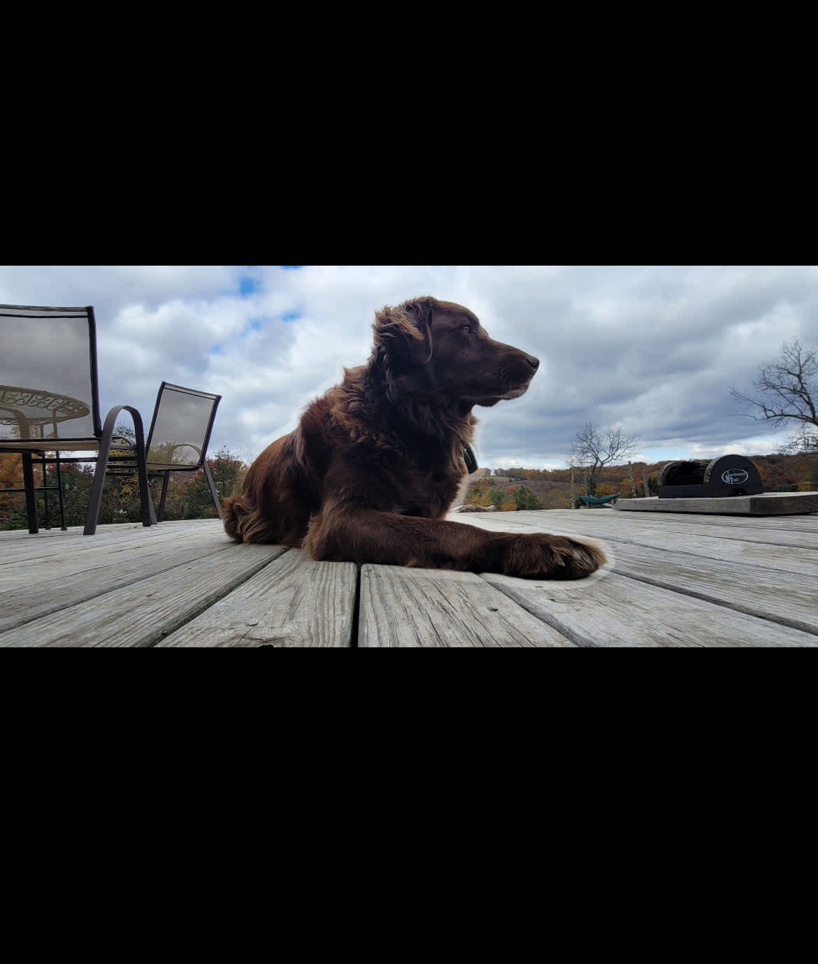 Explore the Ozarks - Dockley Ranch