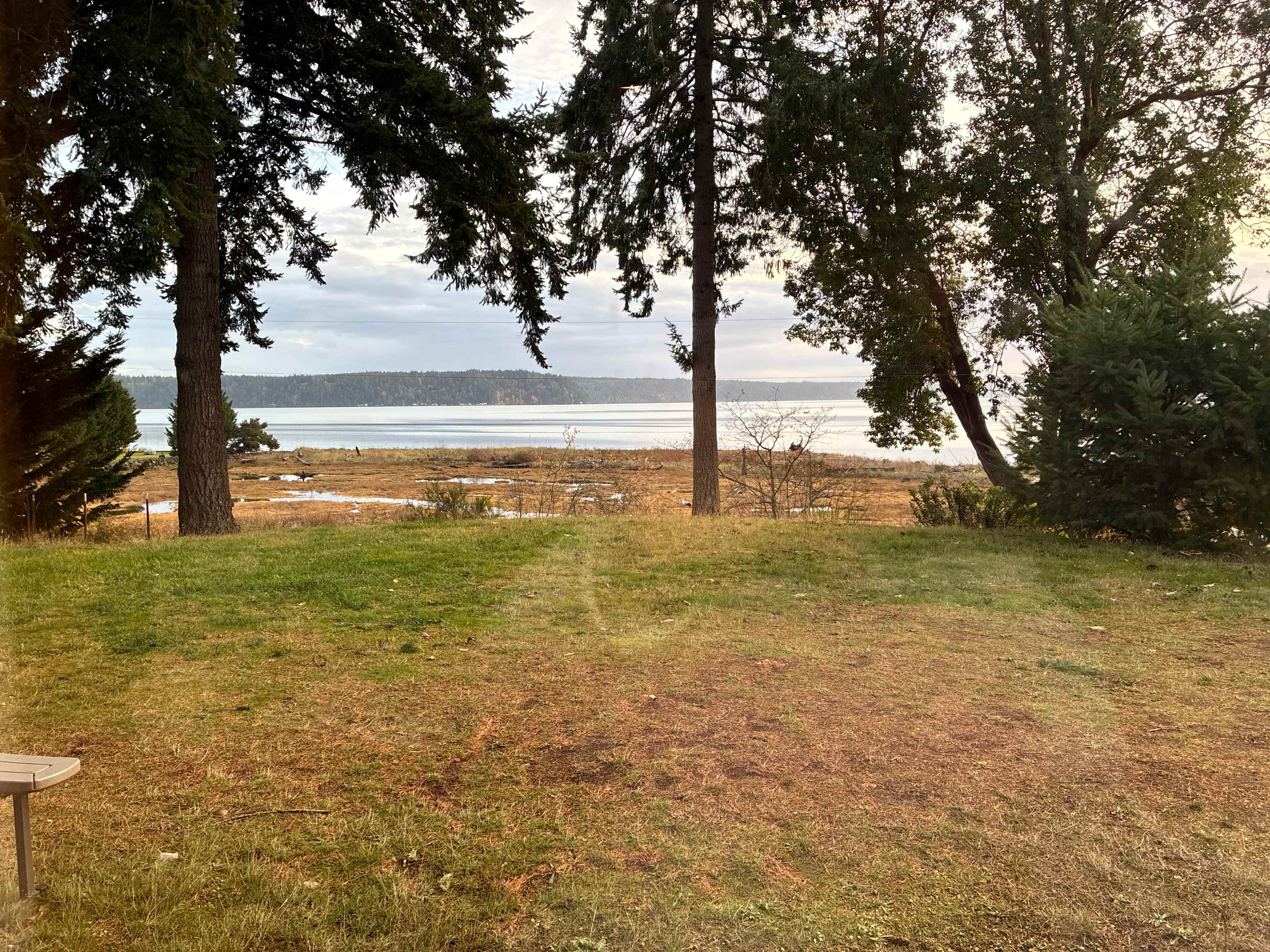 Two bald eagles began flying just as we arrived!