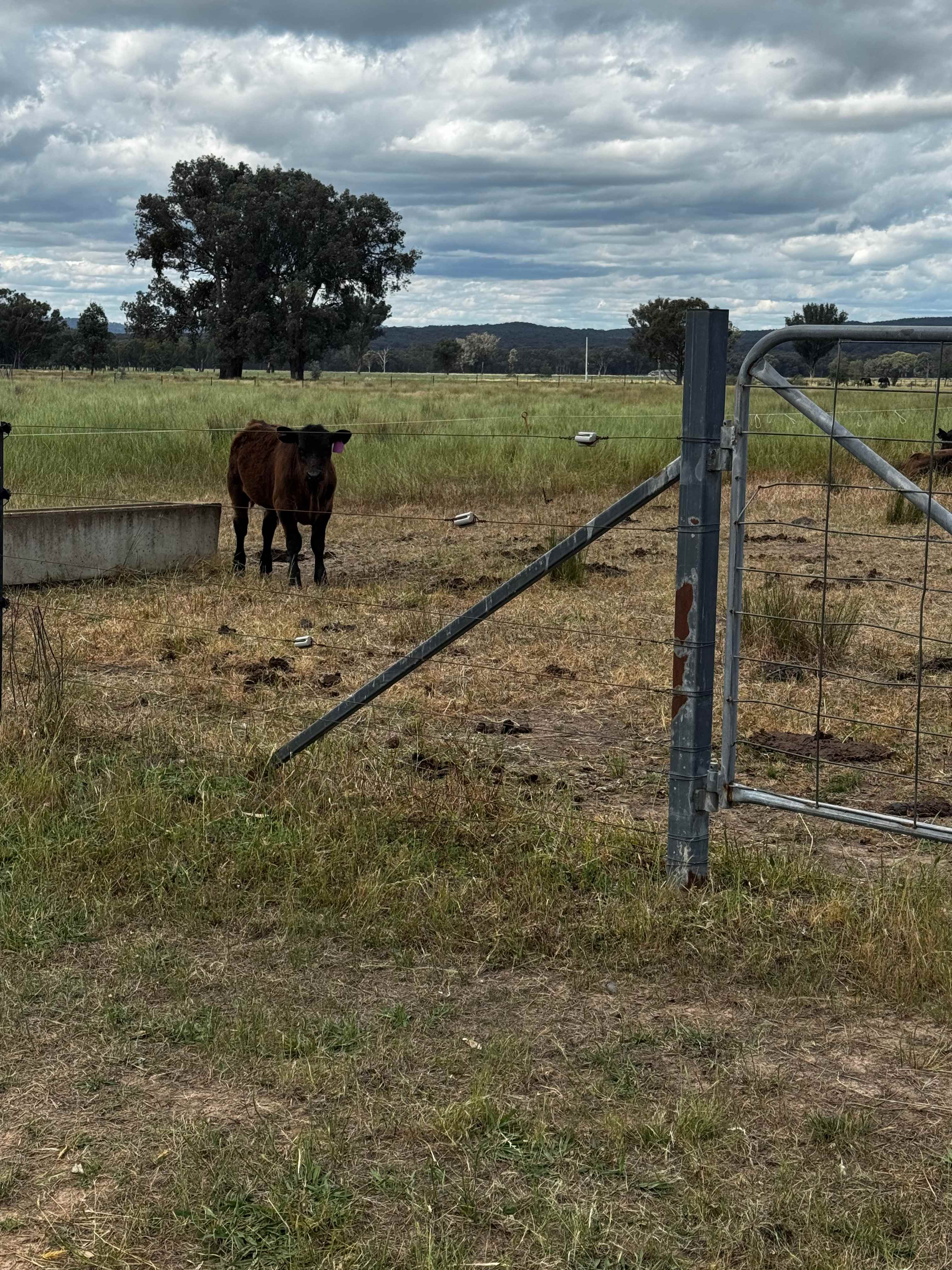 Retreat to Granite Springs Farmstay
