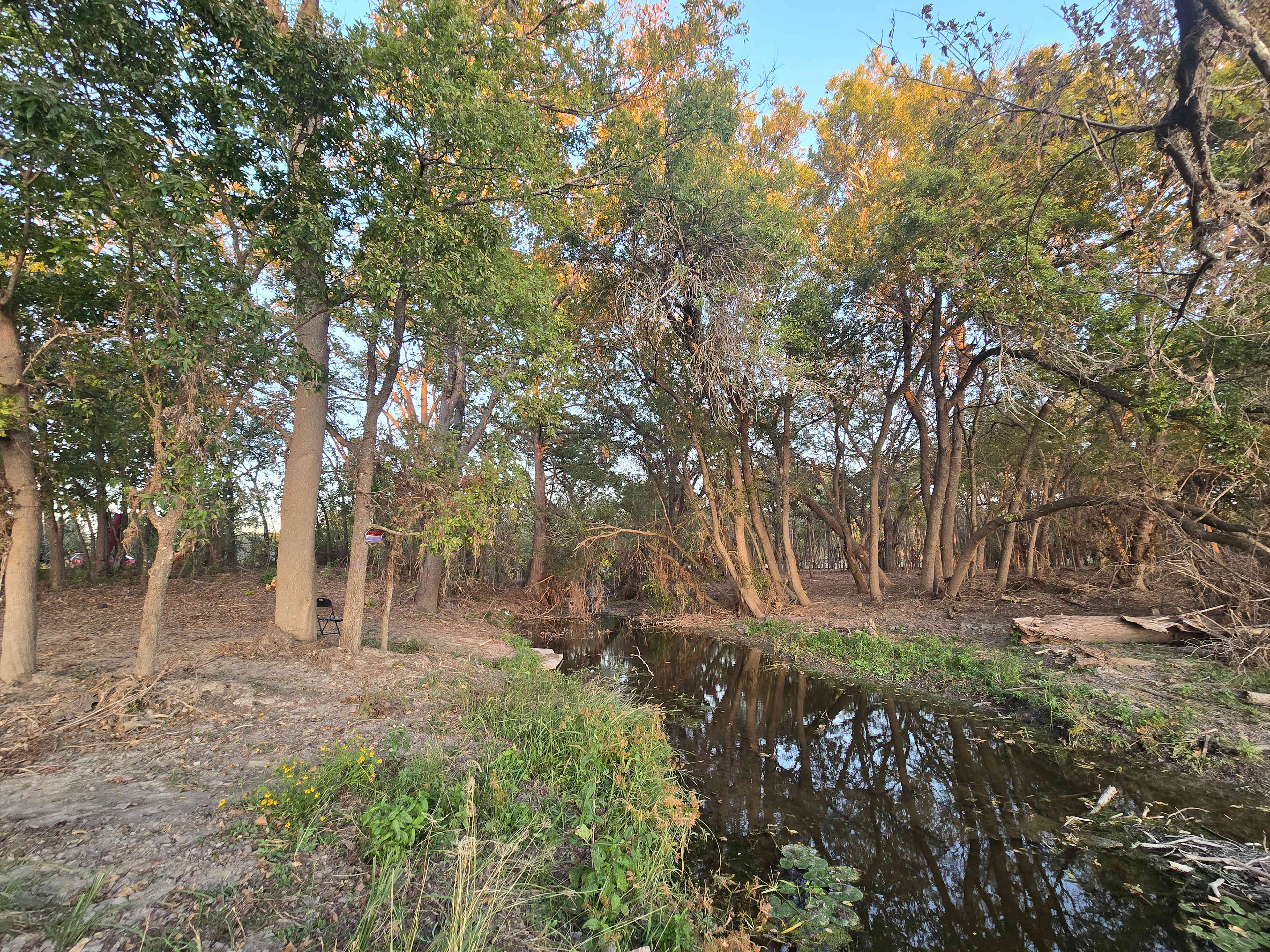 Picture of the site