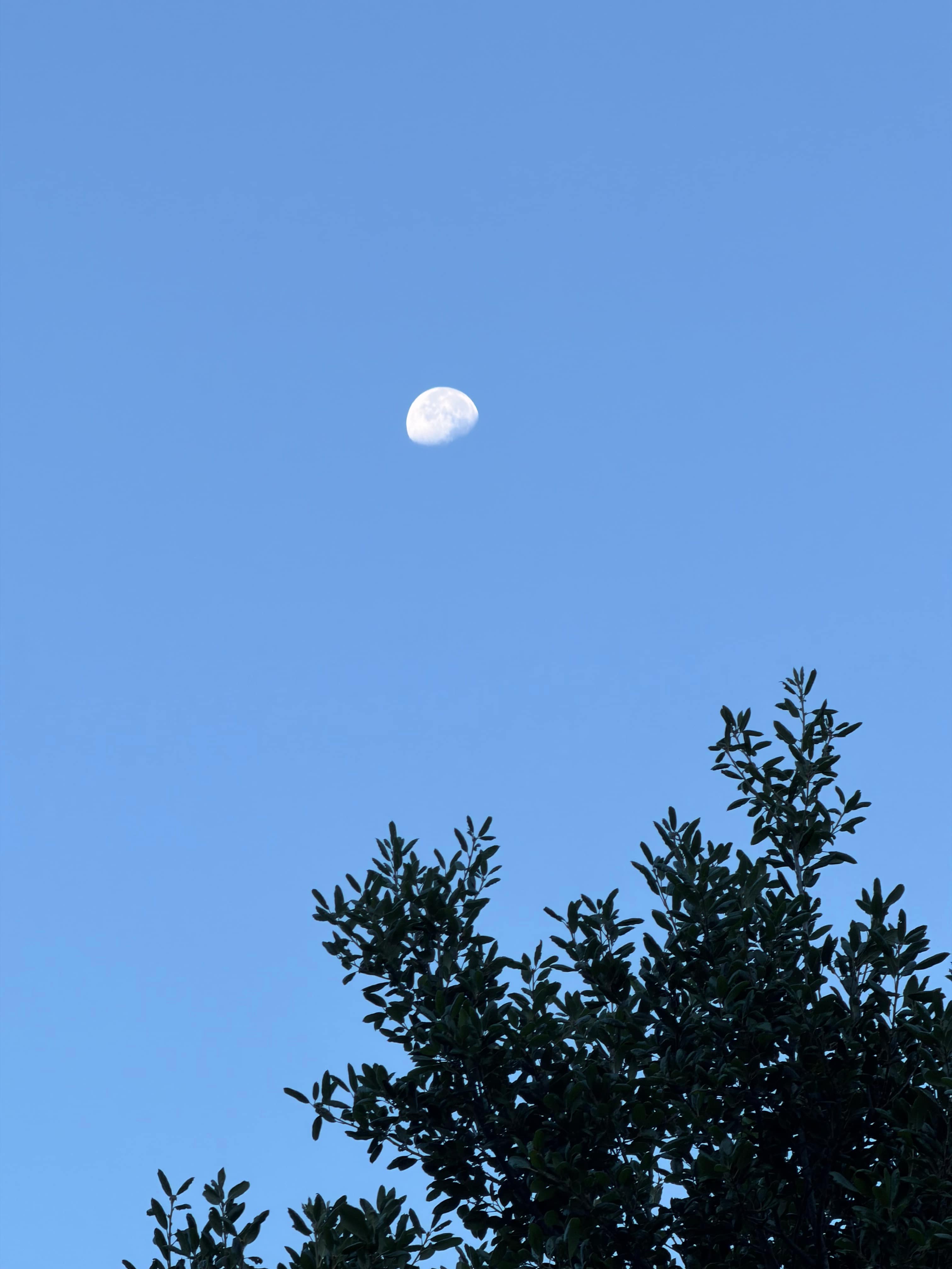 King Creek Campground