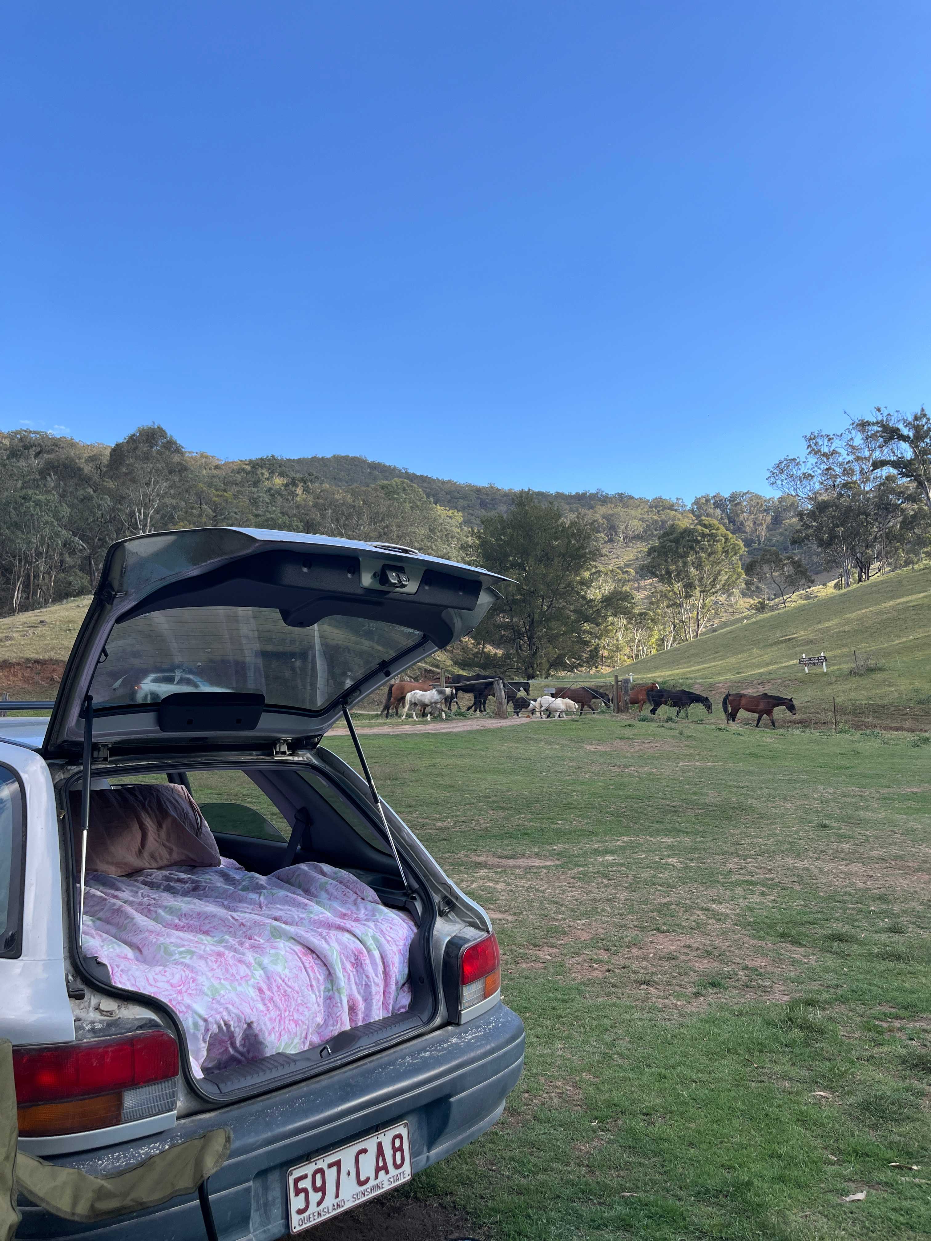 Riverside Camping, Glamping, Cabins