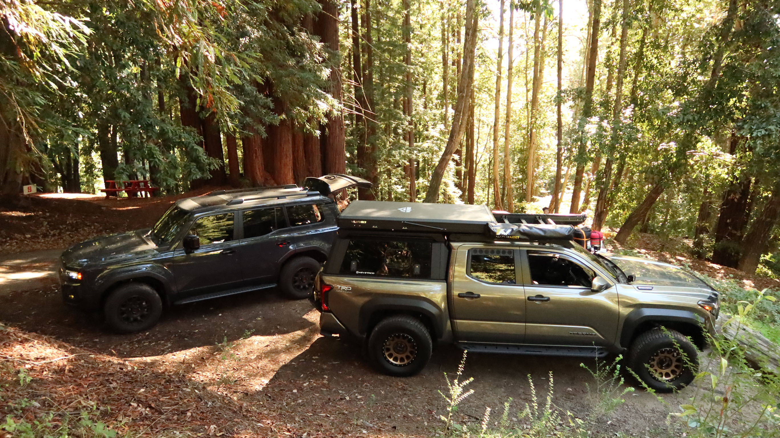 Amaya Creek Redwood Campground