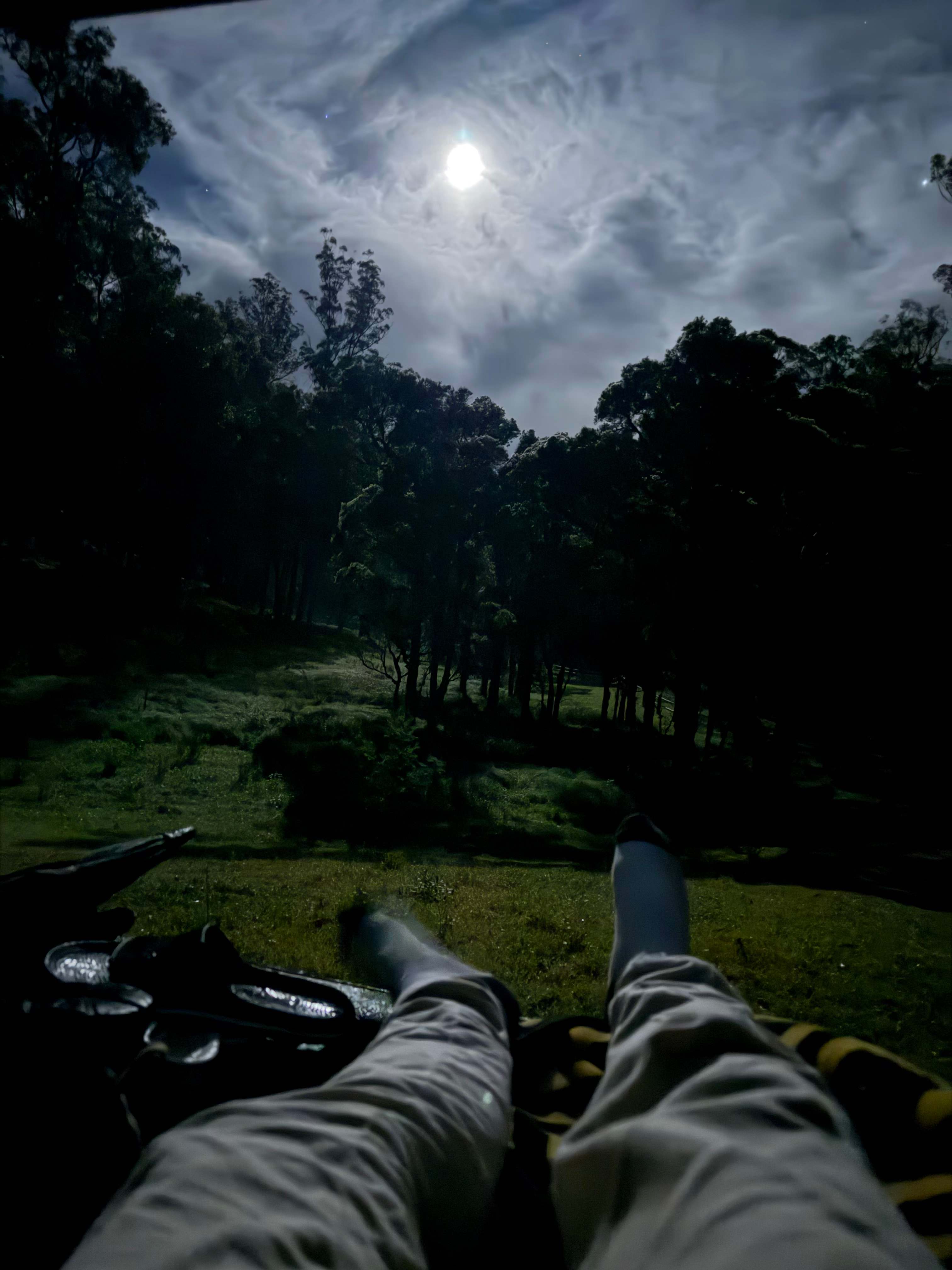 Willow's Retreat Nature Escape