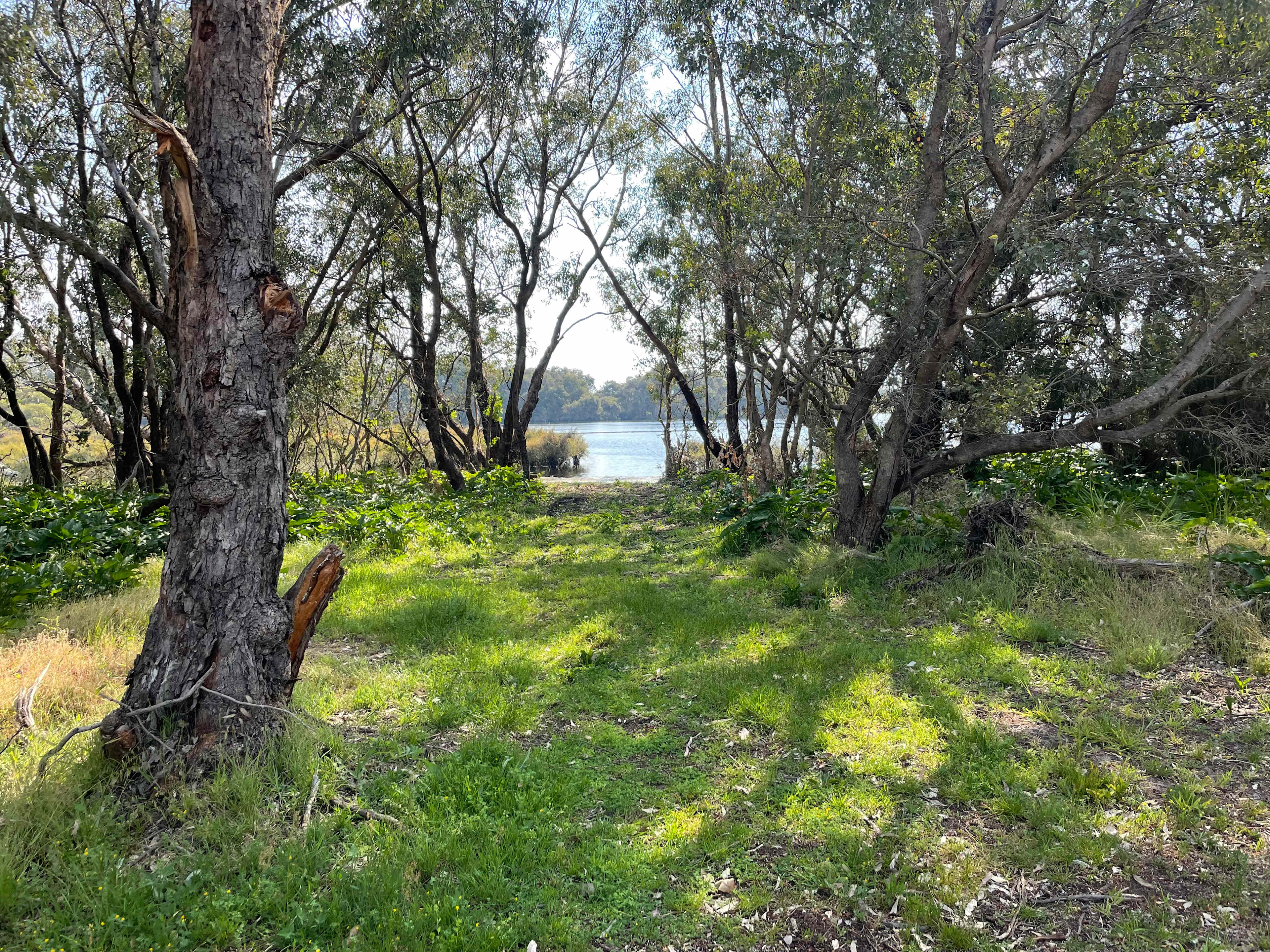 Herron Point Farm Stay