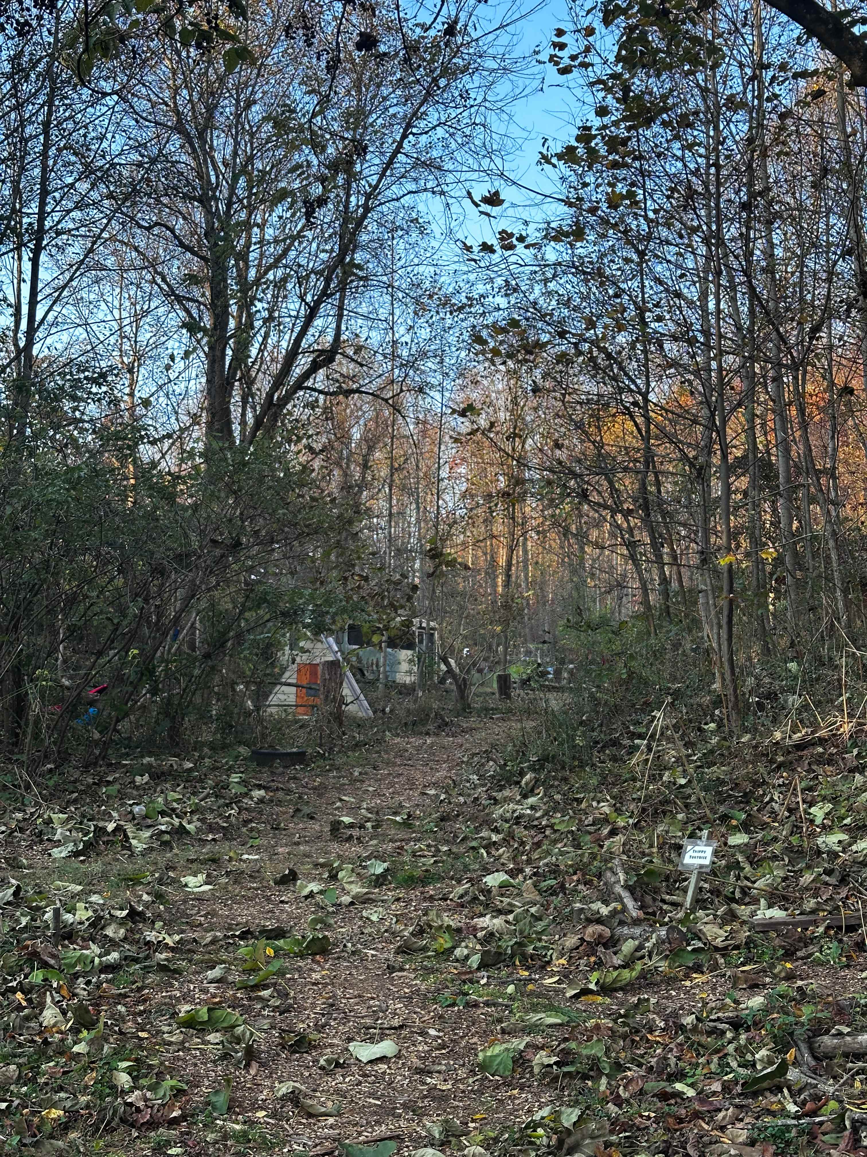 The Baying Hound Campground