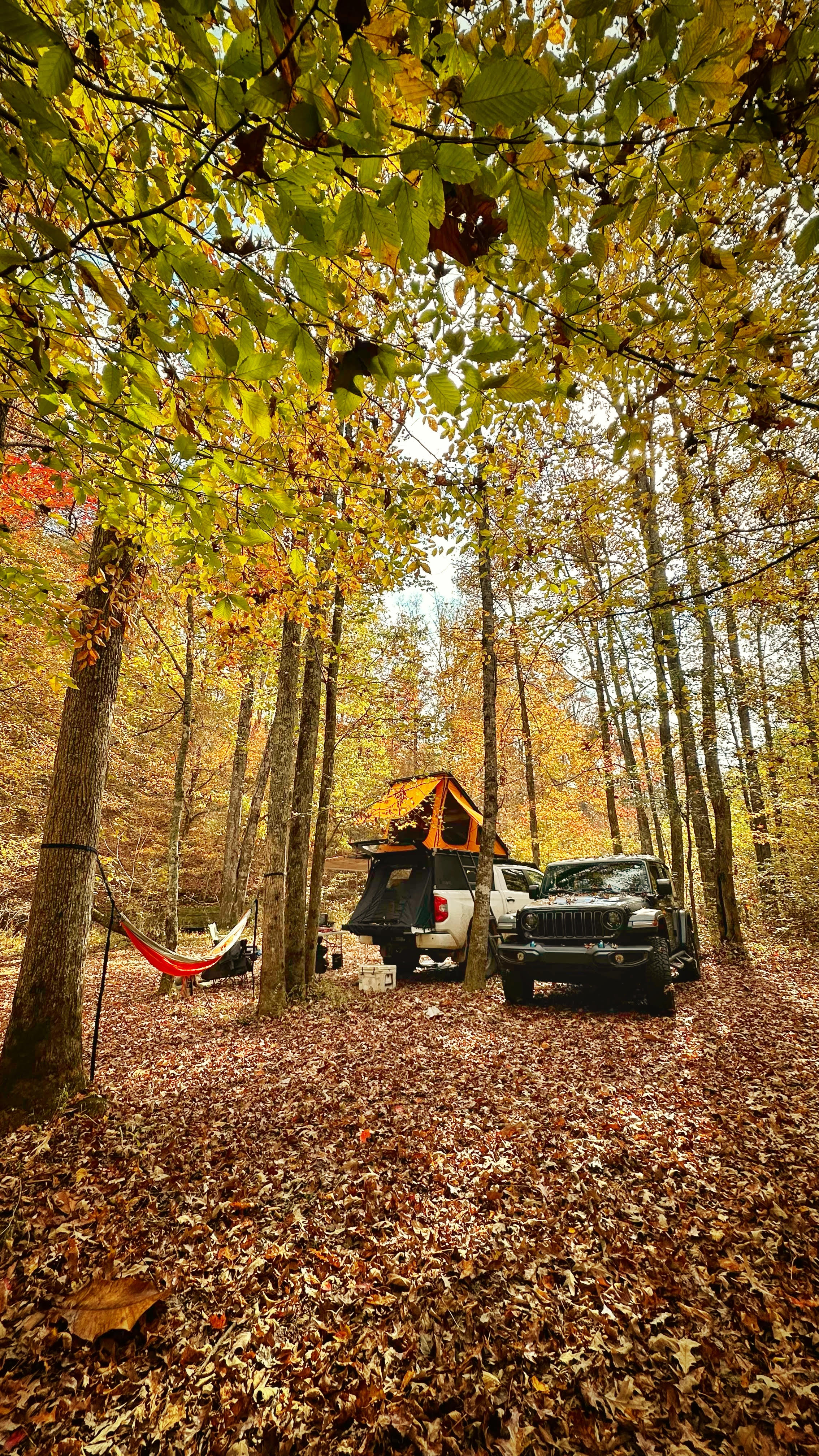 Bug Tussle Creek Bend