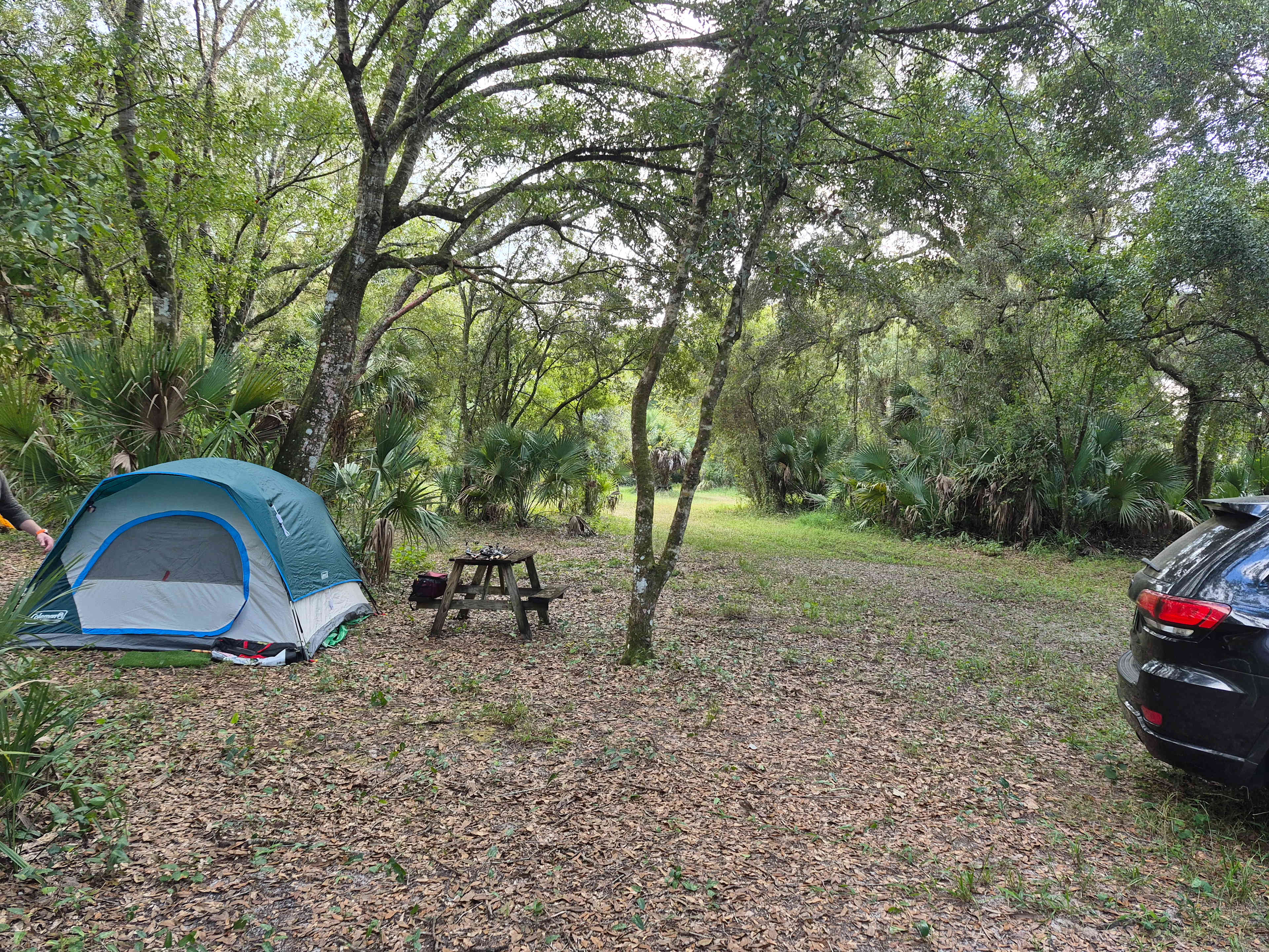 Saint Lucie Farm Preserve
