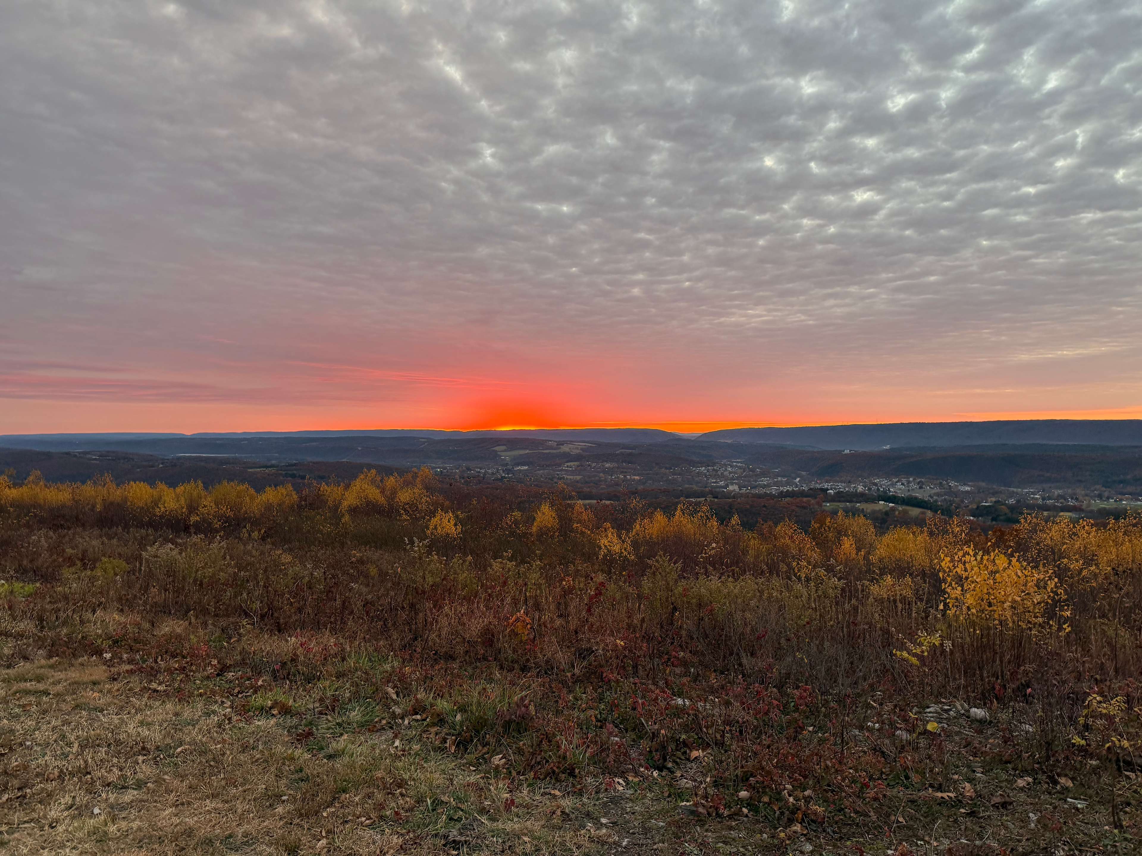 100 Mile View Camping, Jim Thorpe