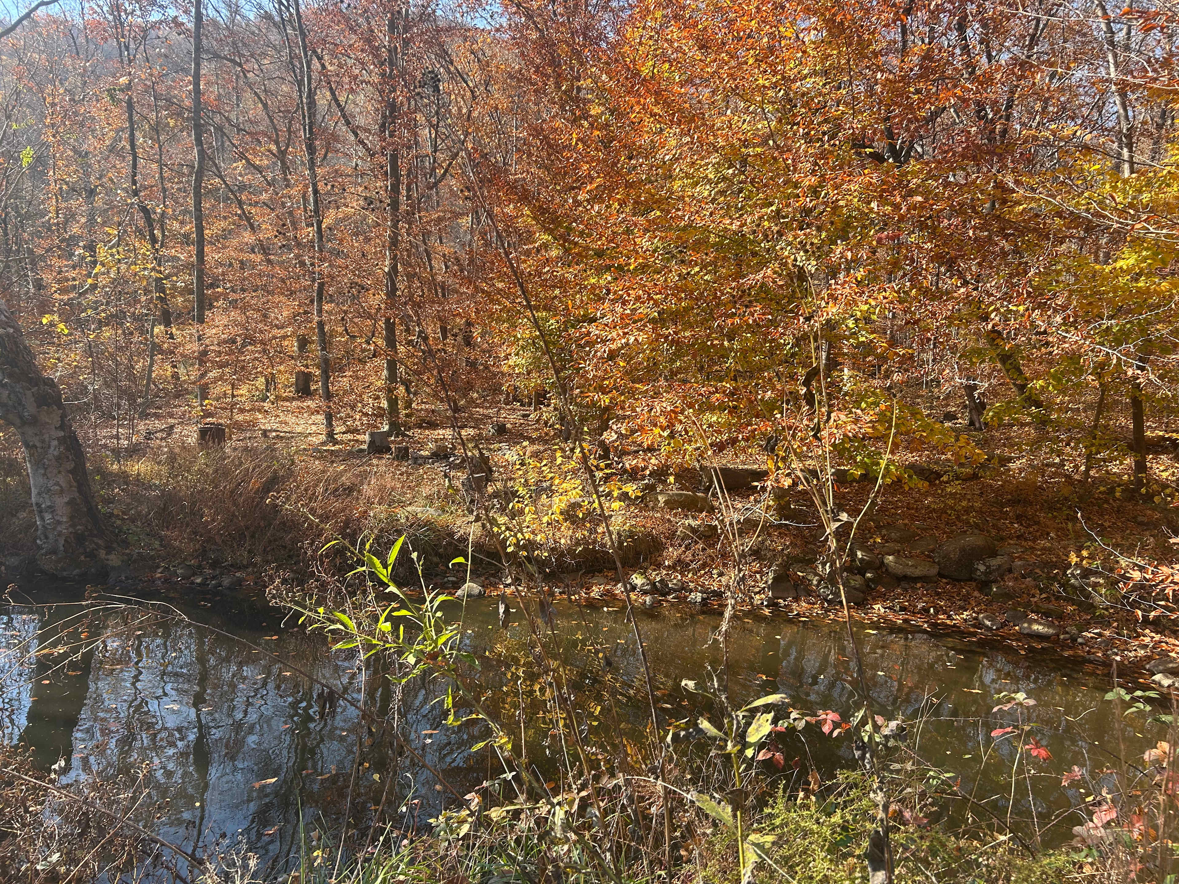 The pond from the upper campground