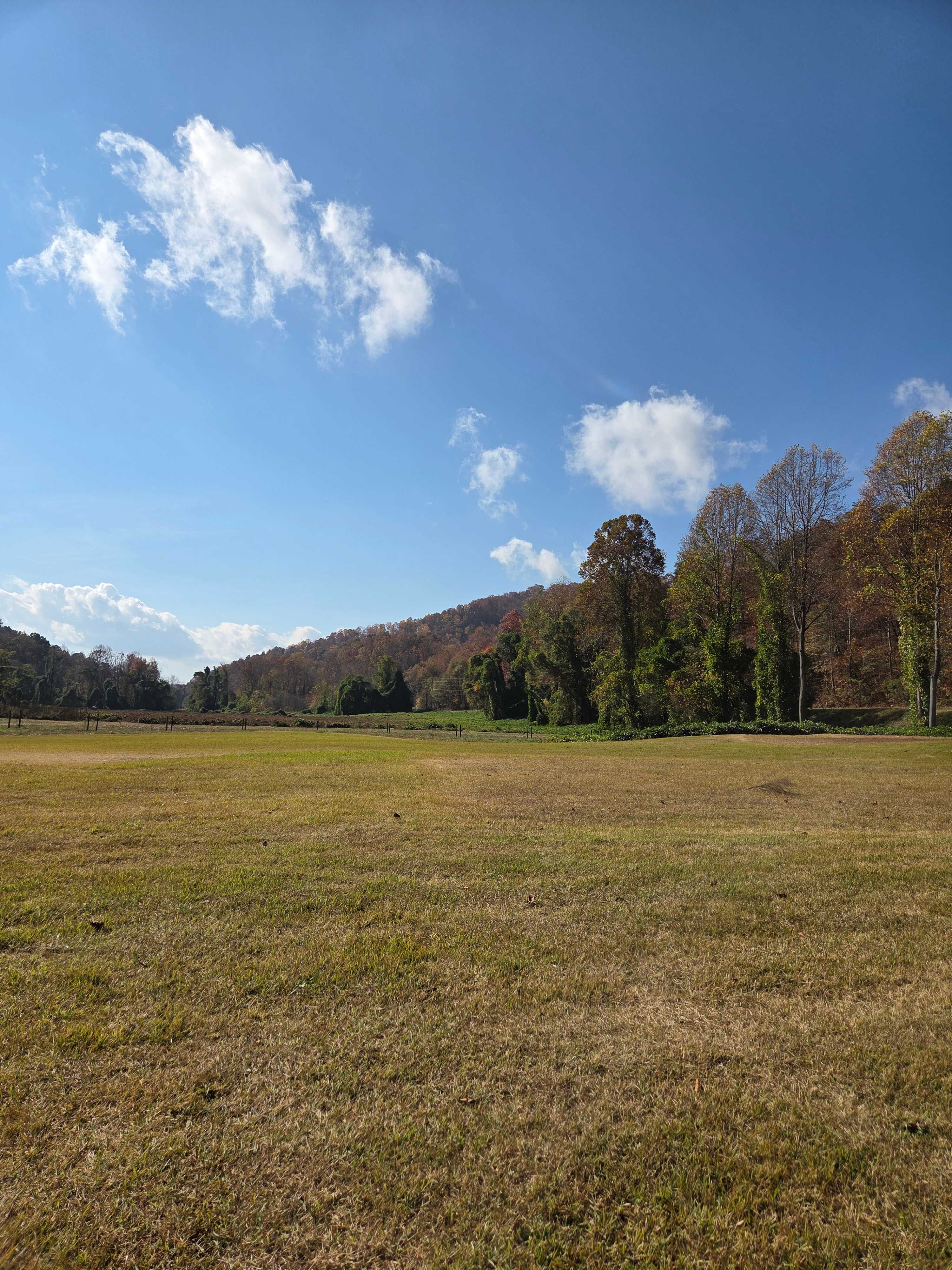 Broken Oak Riverside Getaway