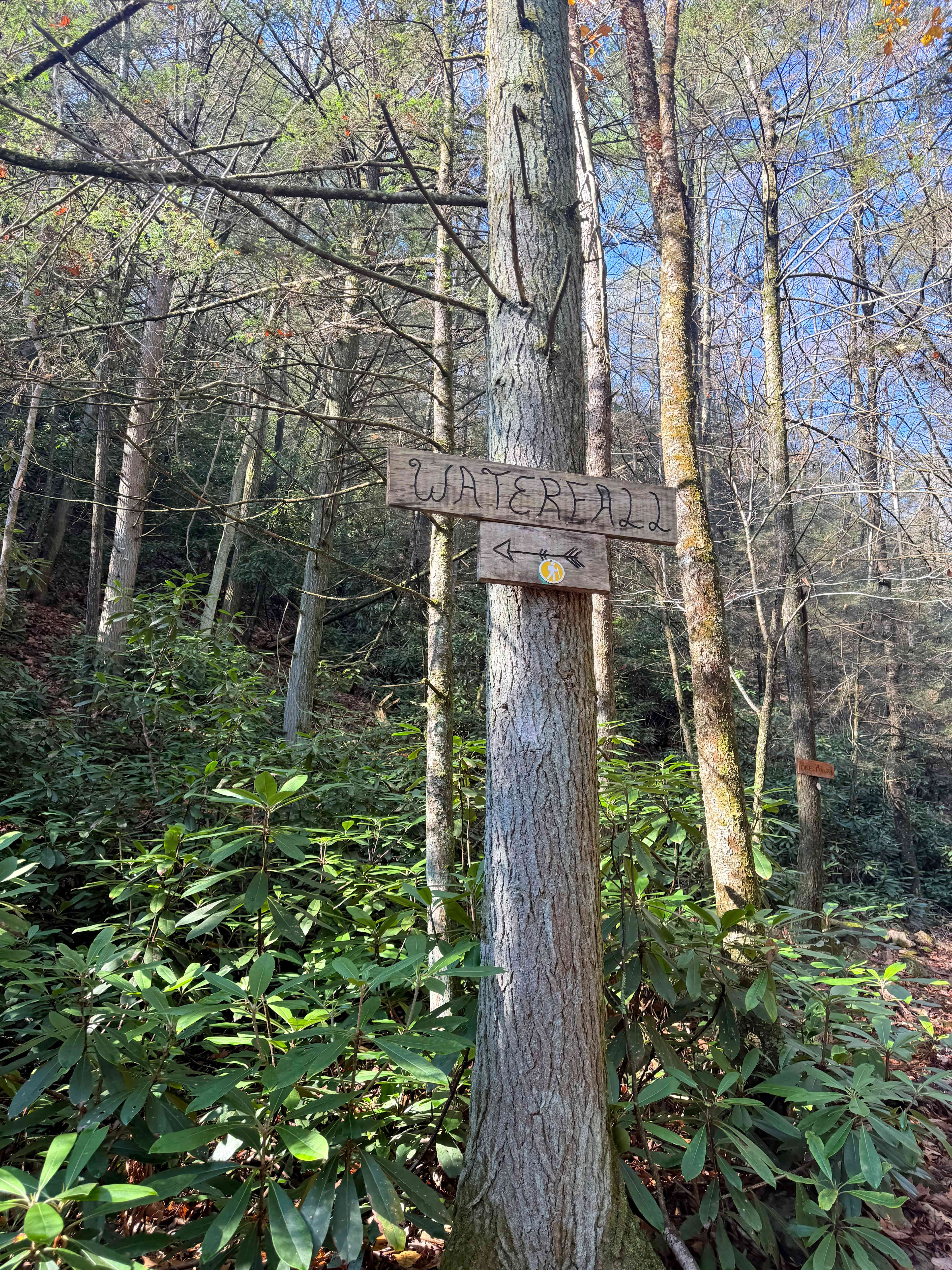 Camp Dietrich on Bear Creek