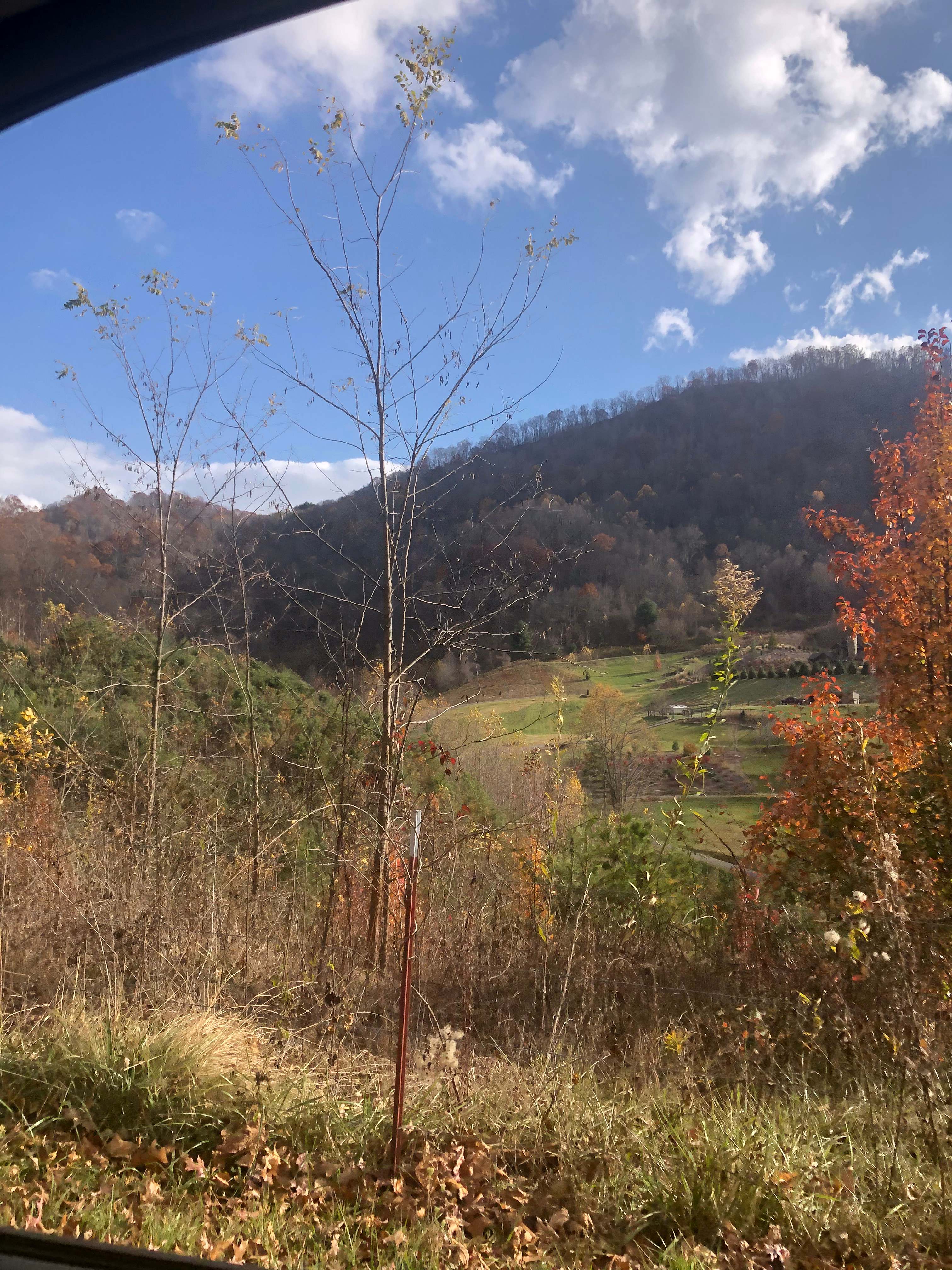 Pause || Eco-Retreat at Aramesh